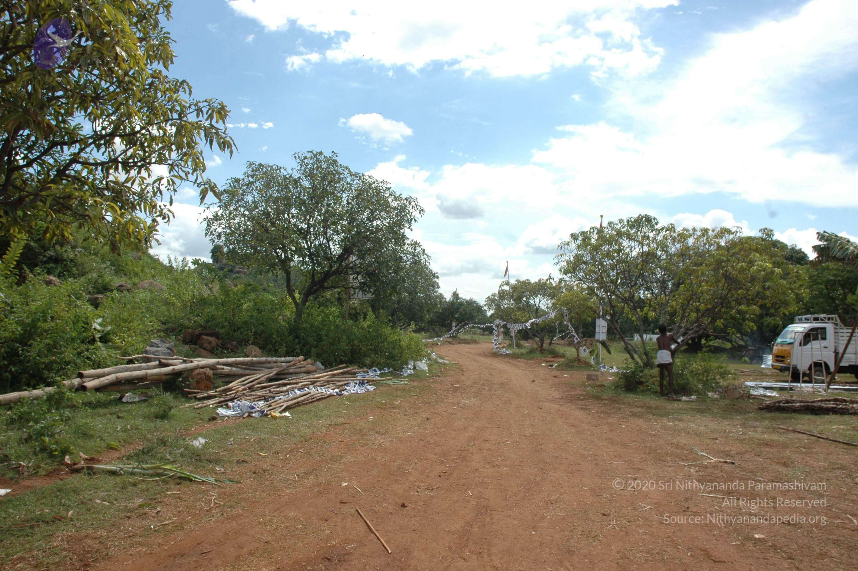 20081113_Photo_1034_DSC_7877_CMP_WM