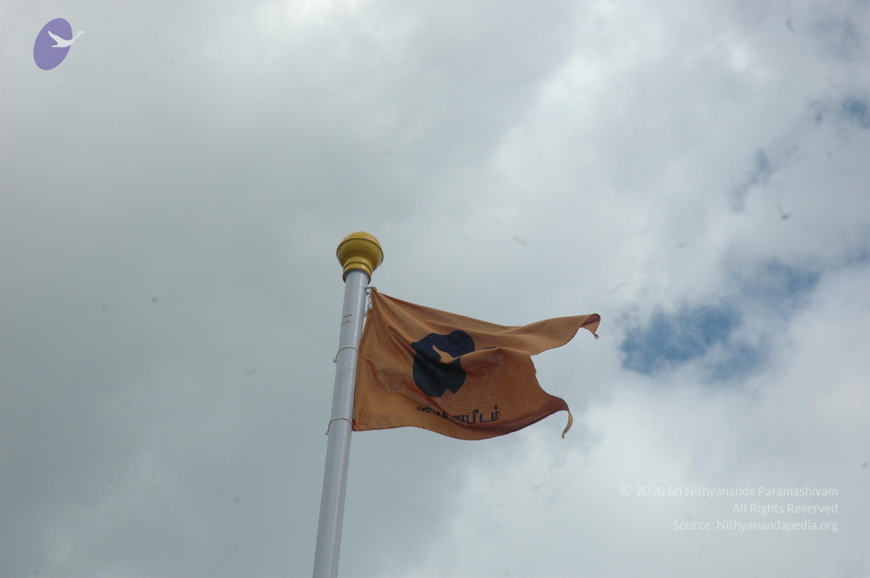 20081113_Photo_1041_DSC_7917_CMP_WM