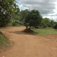 20081113_Photo_1008_DSC_7932_CMP_WM