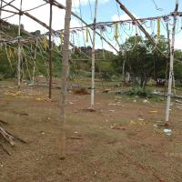 20081113_Photo_1013_DSC_7865_CMP_WM