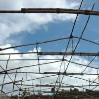 20081113_Photo_1026_DSC_7863_CMP_WM