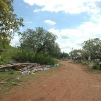 20081113_Photo_1034_DSC_7877_CMP_WM