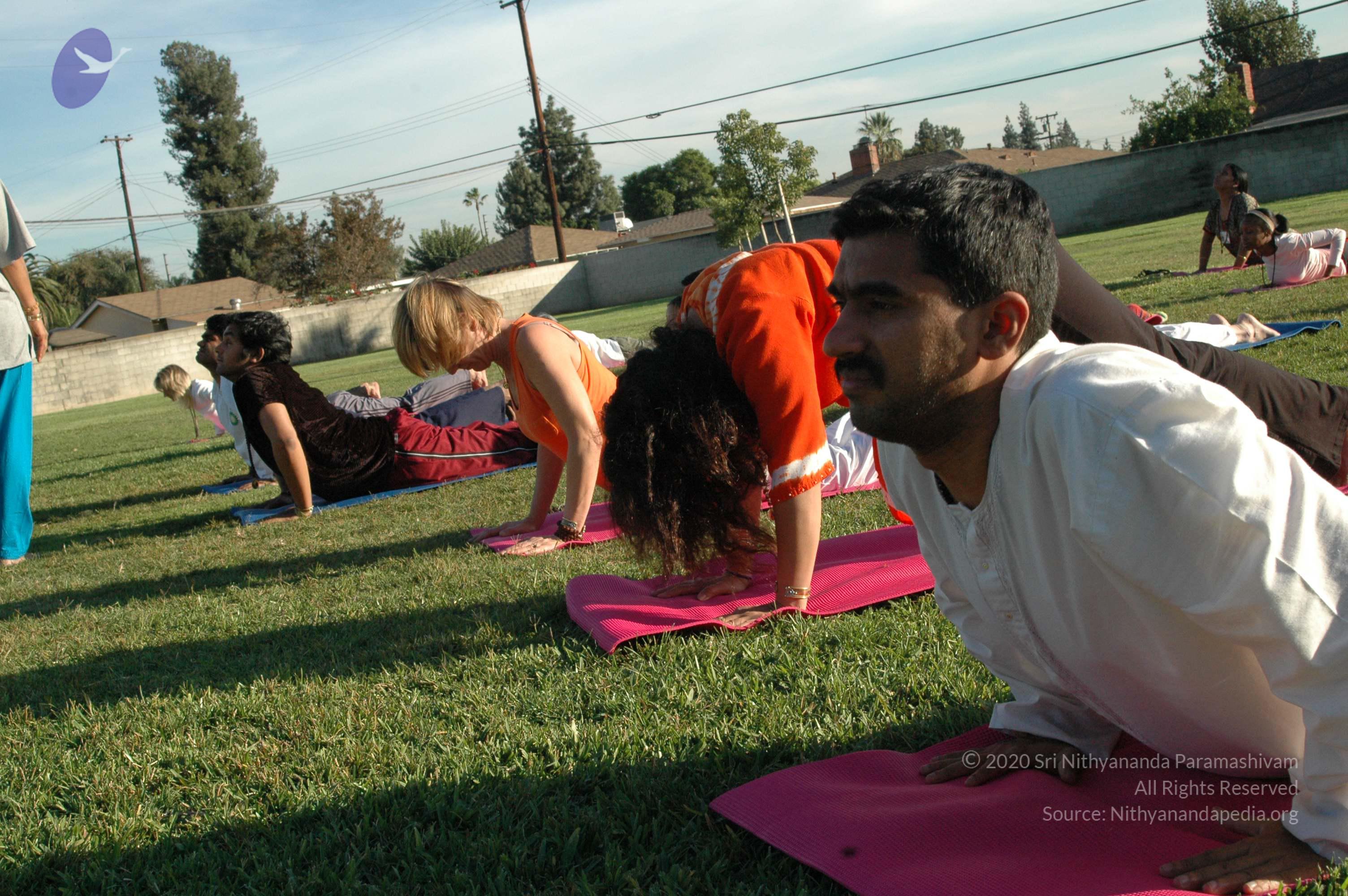 13Nov2008_NYT_Los_Angeles_10_CMP_WM