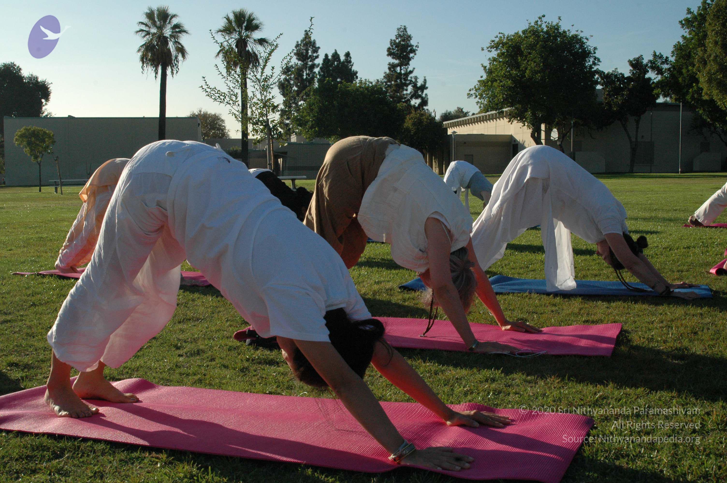 13Nov2008_NYT_Los_Angeles_17_CMP_WM