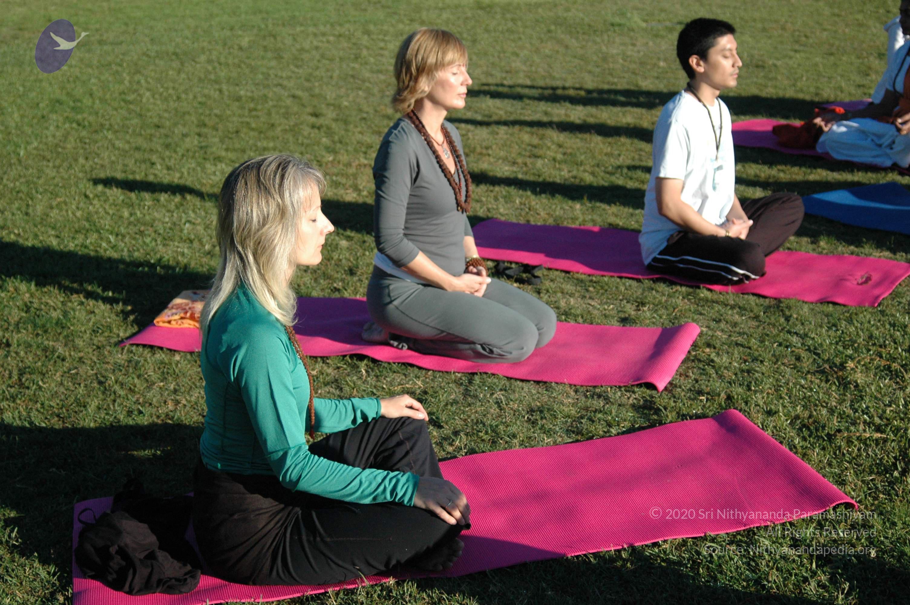 15November2008_NYT_Los_Angeles_31_CMP_WM