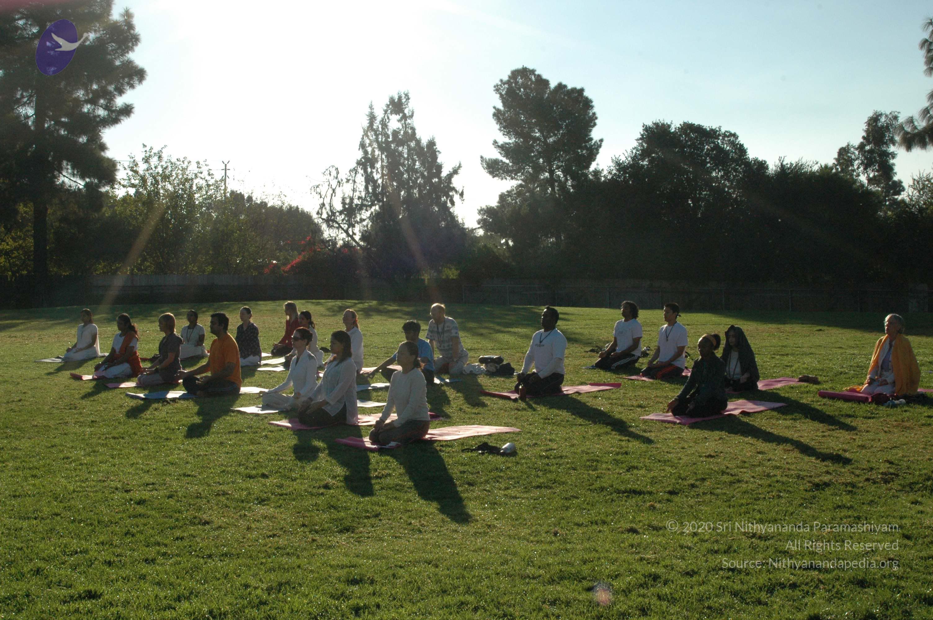 16November2008_NYT_Los_Angeles_09-1_CMP_WM