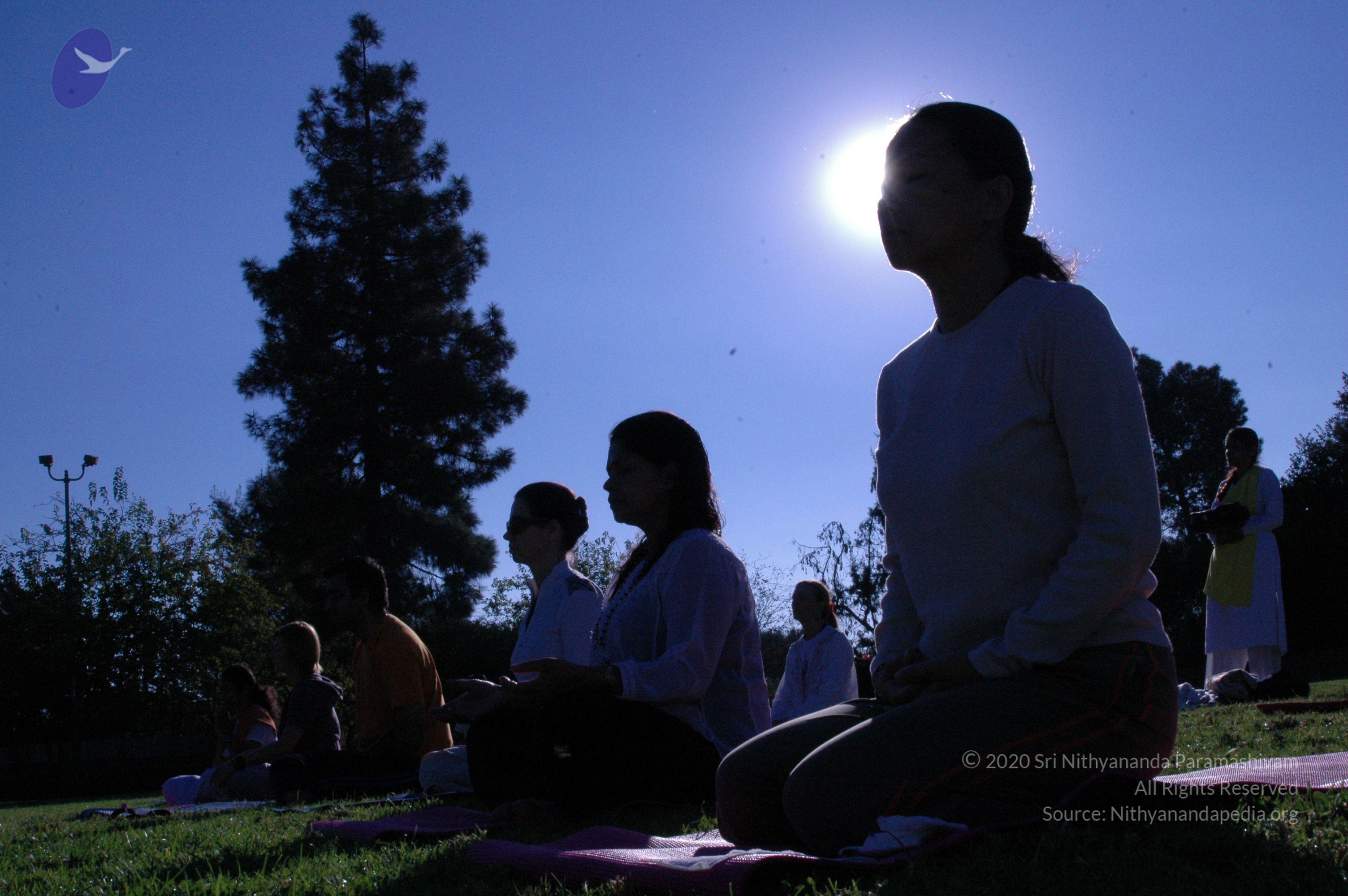 16November2008_NYT_Los_Angeles_13_CMP_WM