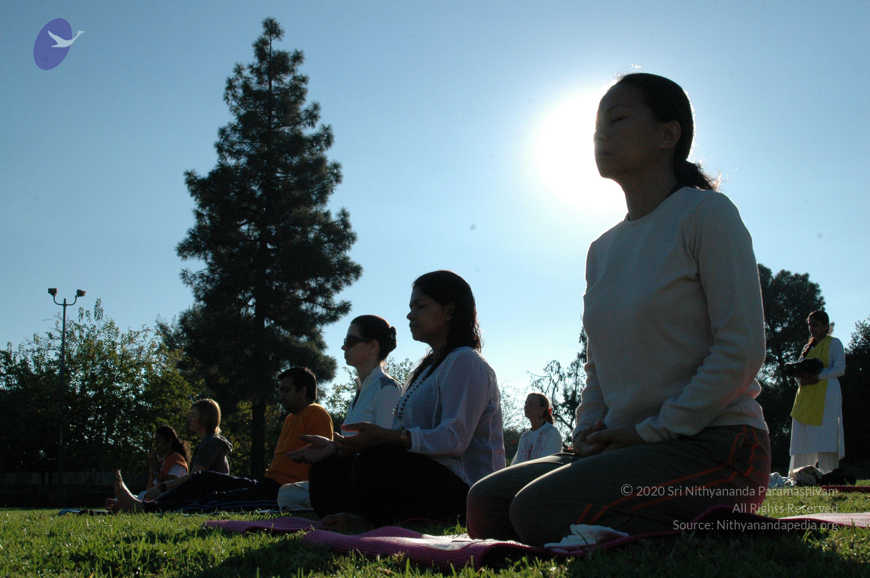 16November2008_NYT_Los_Angeles_14_CMP_WM