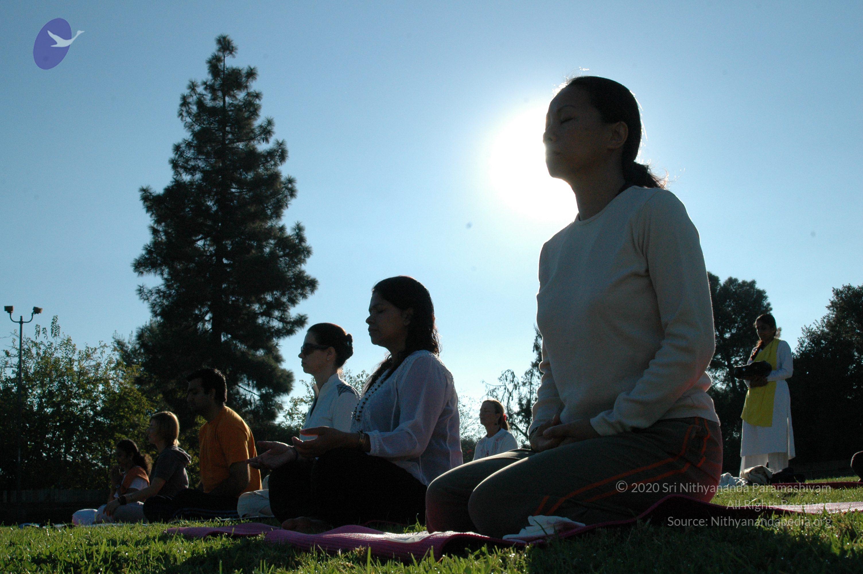 16November2008_NYT_Los_Angeles_15-1_CMP_WM