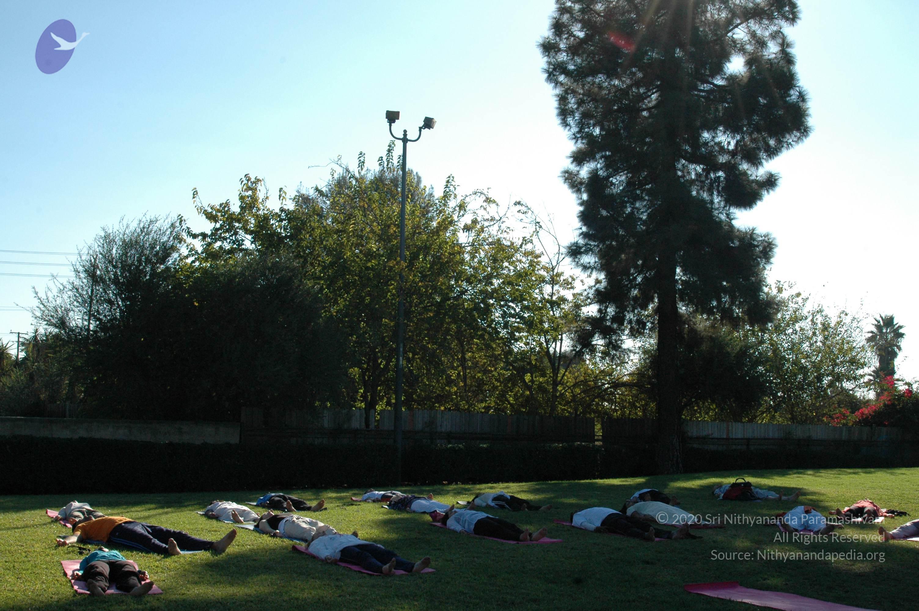 16November2008_NYT_Los_Angeles_25_CMP_WM