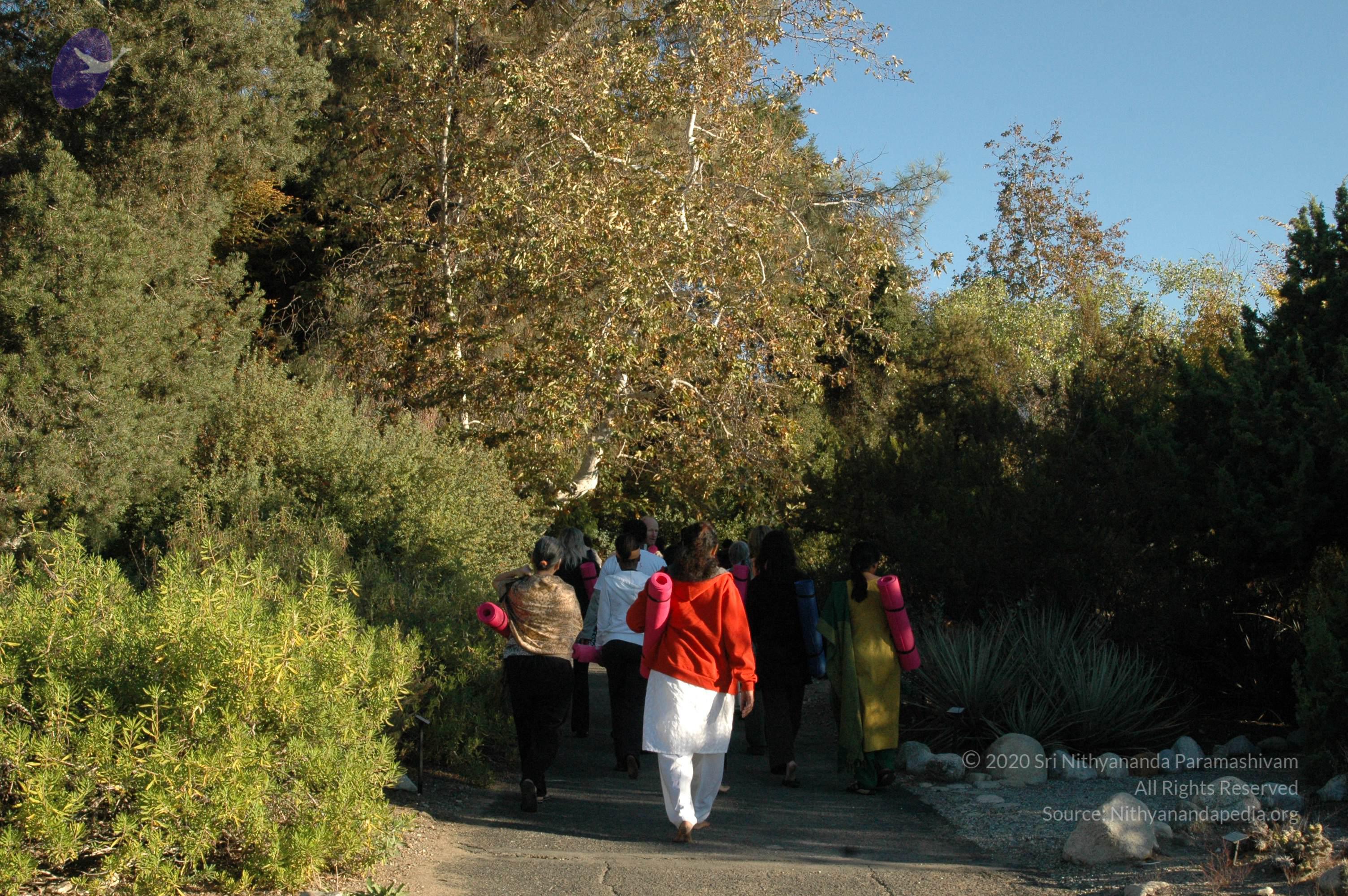 19November2008_NYT_Los_Angeles_01-1_CMP_WM