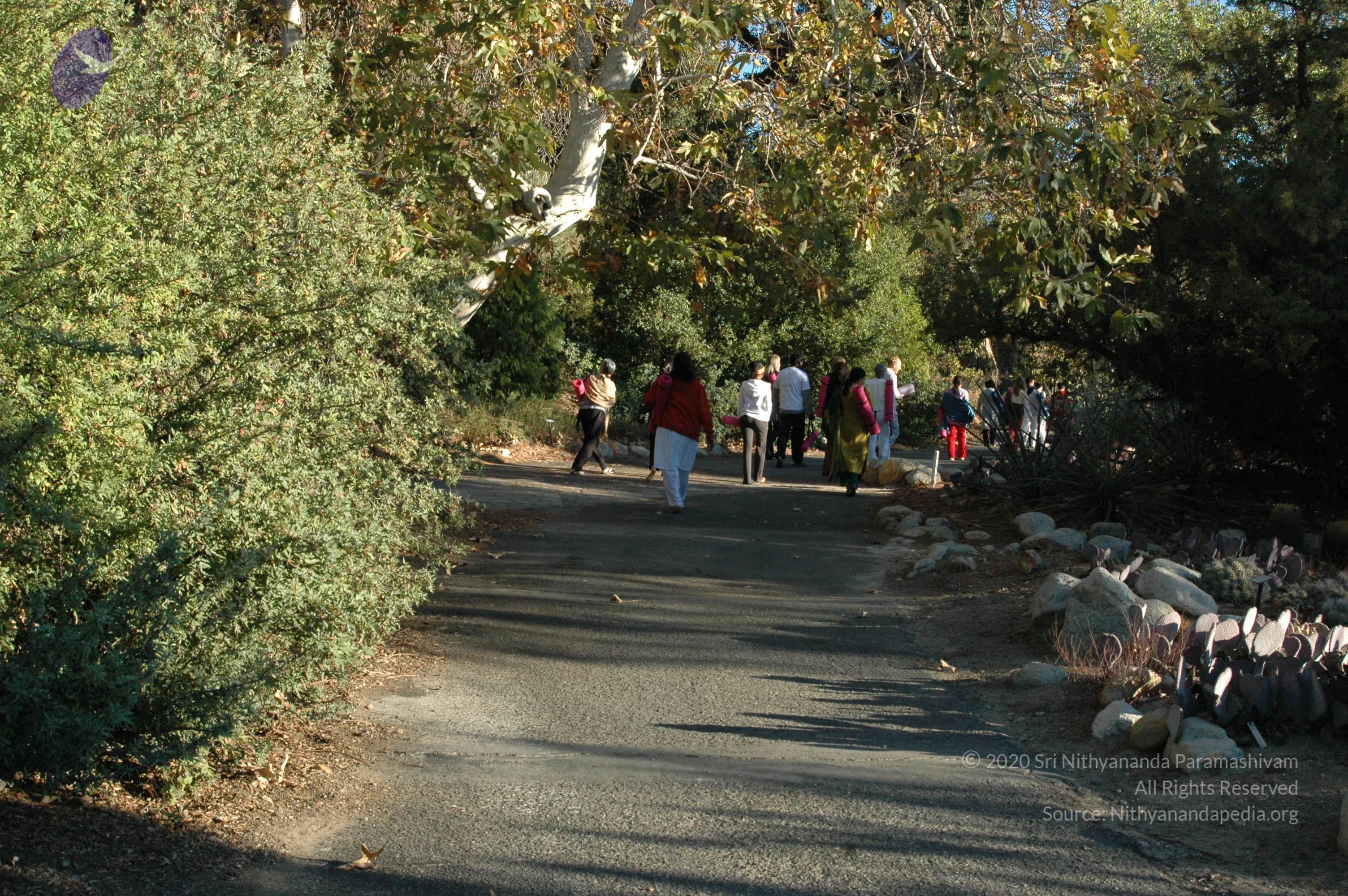 19November2008_NYT_Los_Angeles_02_CMP_WM