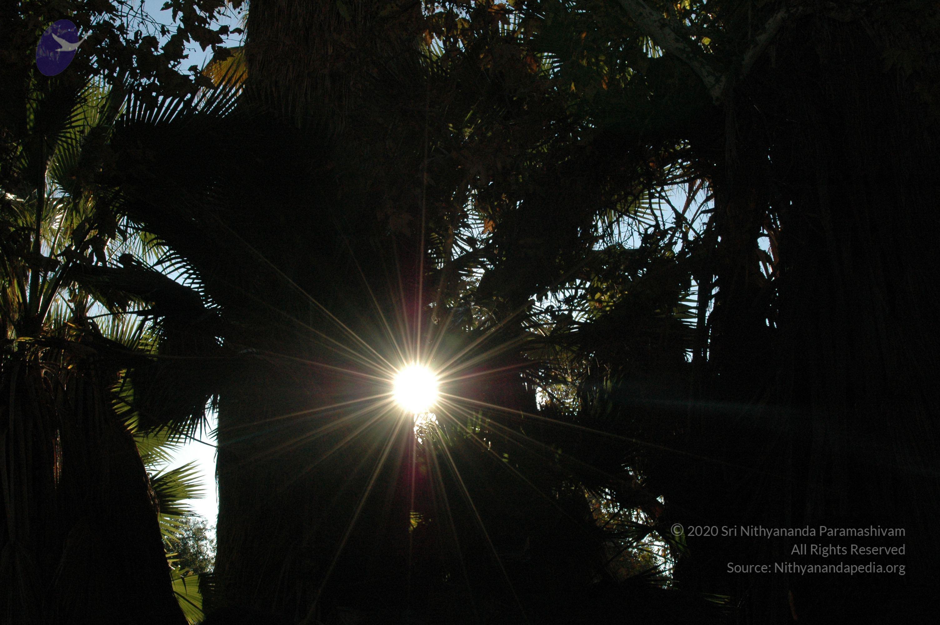 19November2008_NYT_Los_Angeles_05_CMP_WM