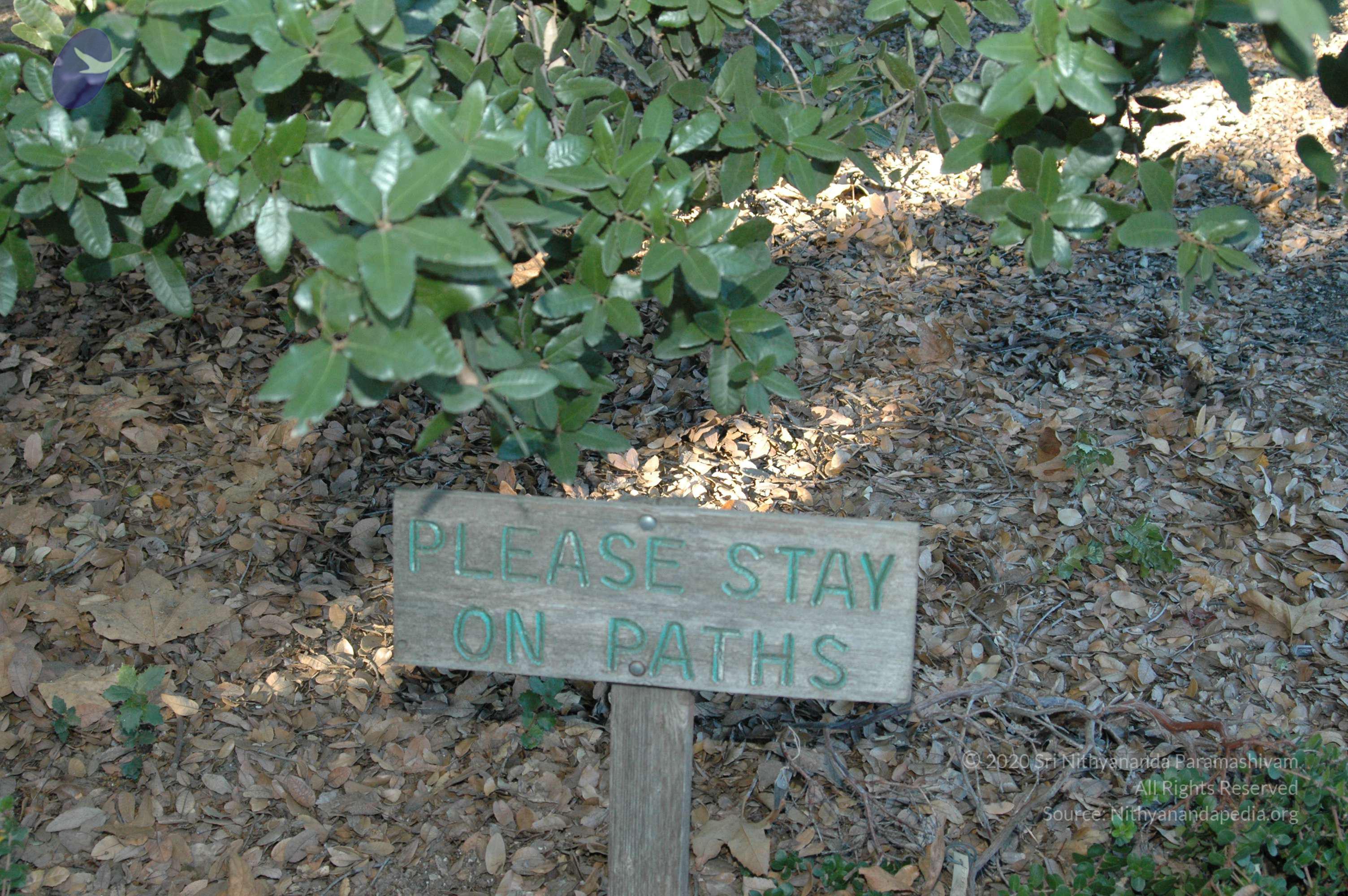 19November2008_NYT_Los_Angeles_06_CMP_WM