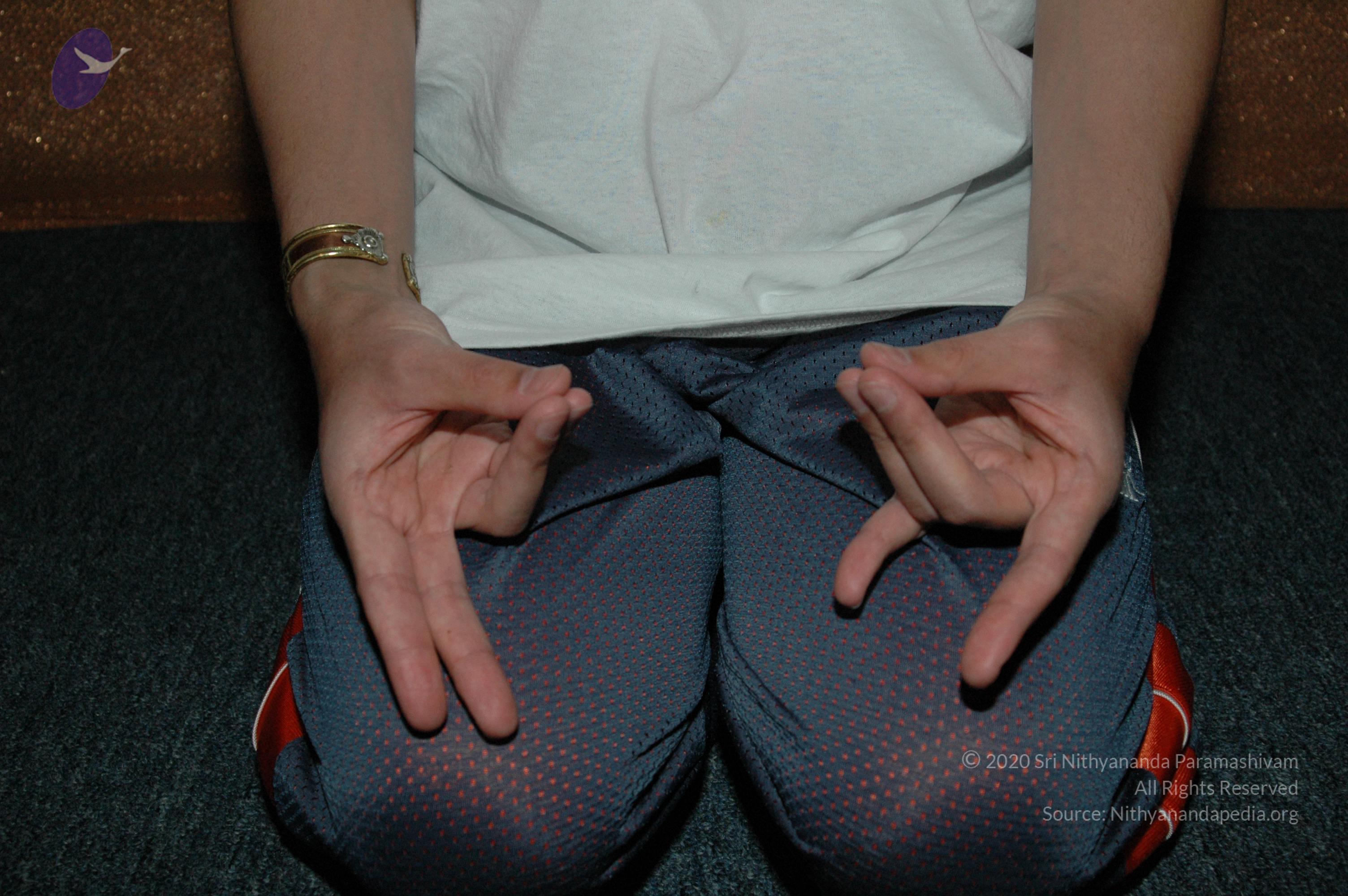 19November2008_NYT_Los_Angeles_107_CMP_WM