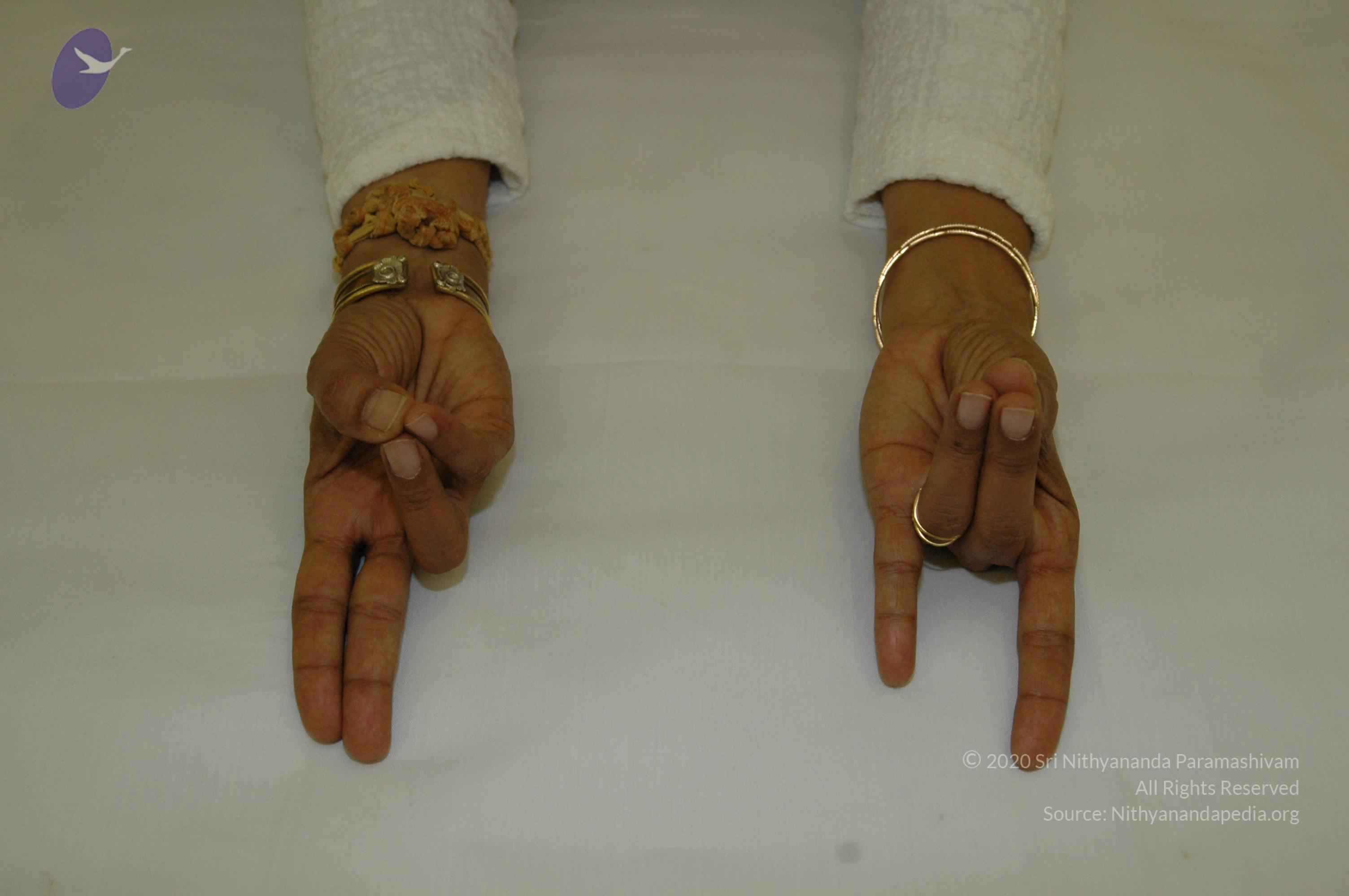 19November2008_NYT_Los_Angeles_111-1_CMP_WM