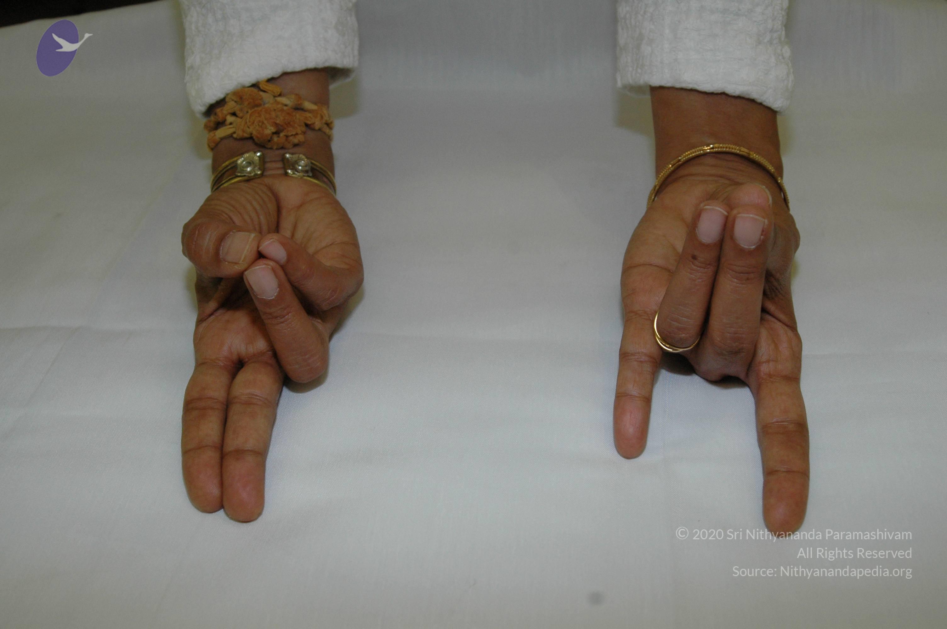 19November2008_NYT_Los_Angeles_113_CMP_WM