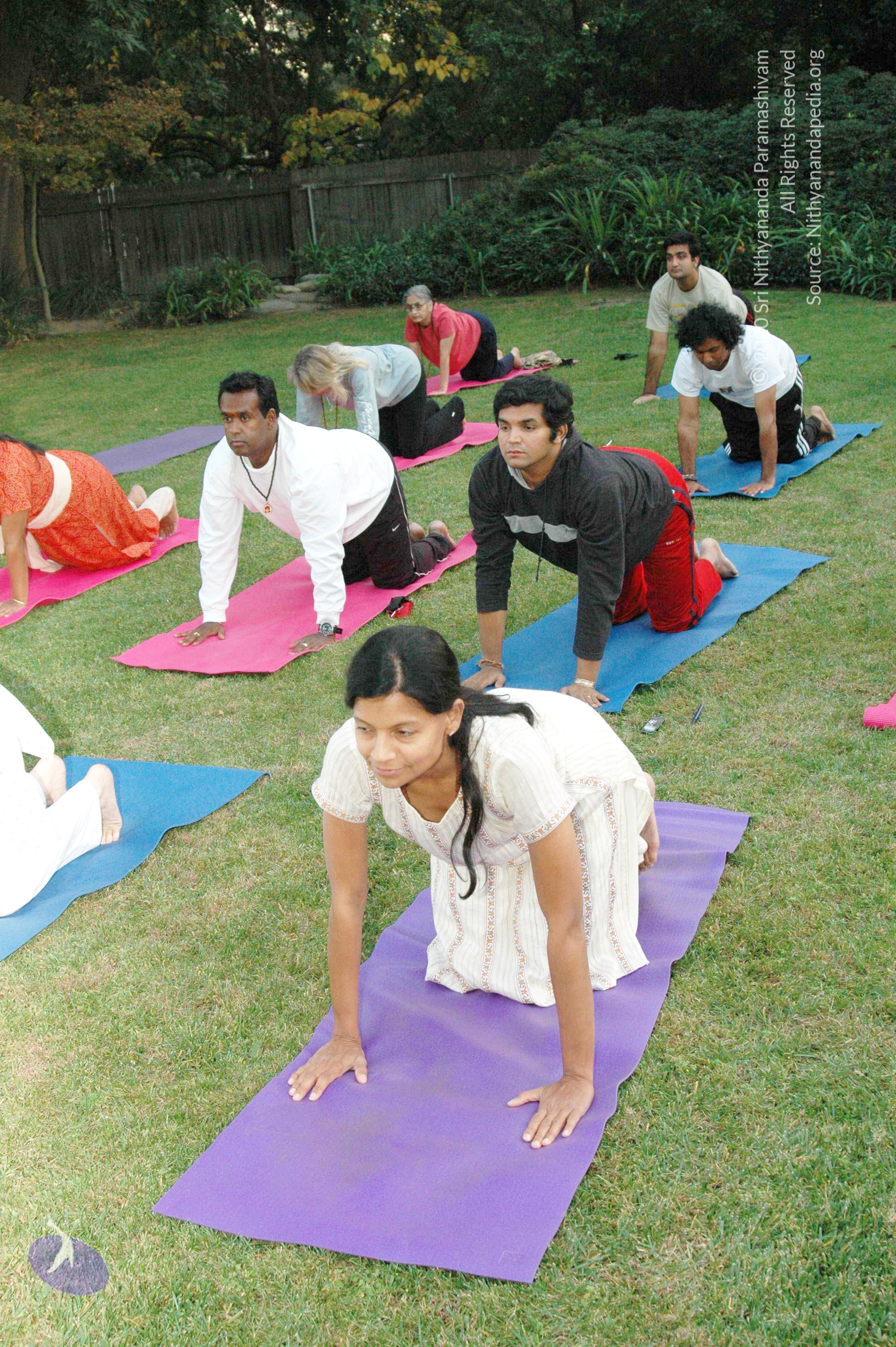 19November2008_NYT_Los_Angeles_134_CMP_WM