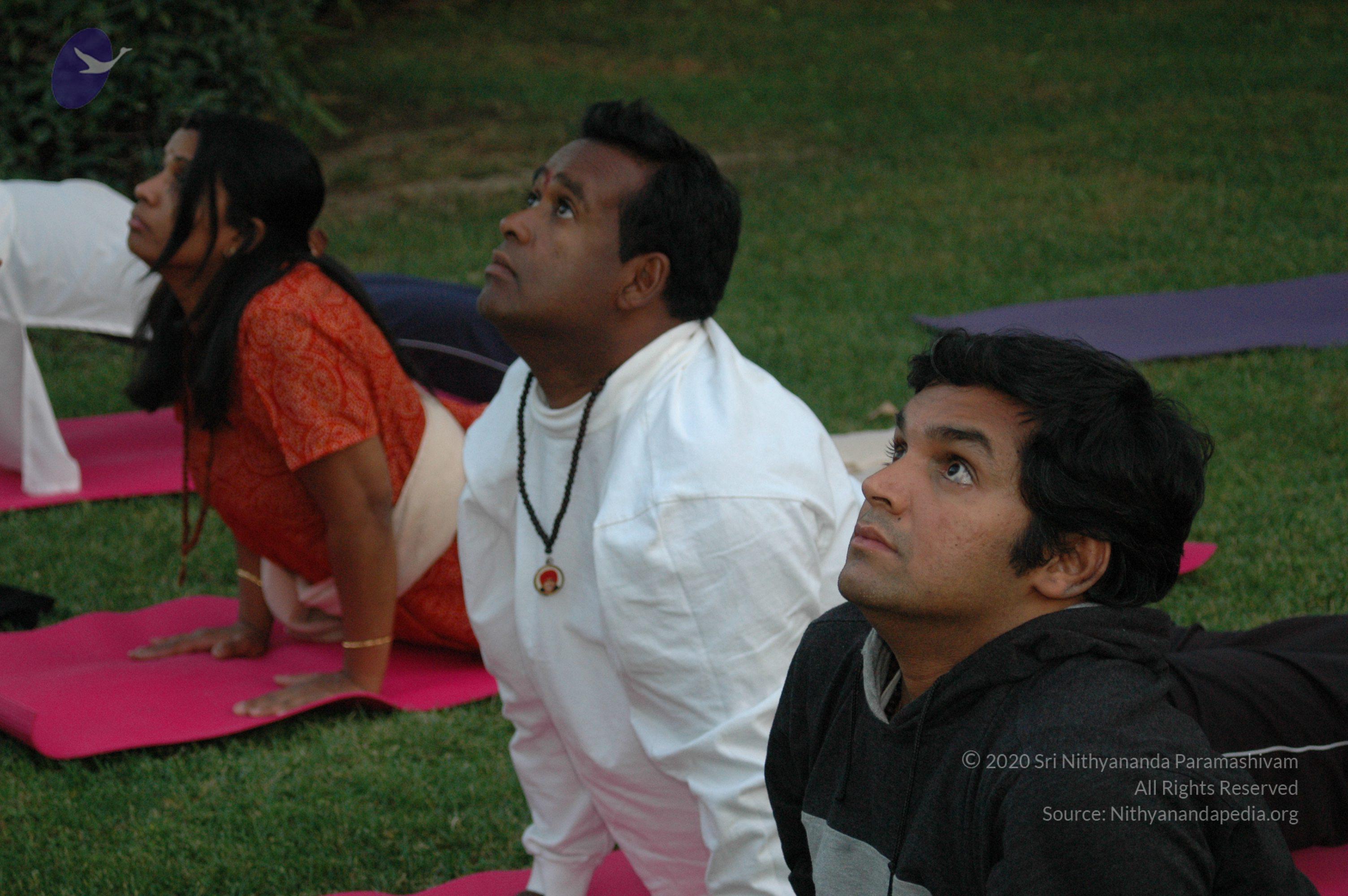 19November2008_NYT_Los_Angeles_138-1_CMP_WM