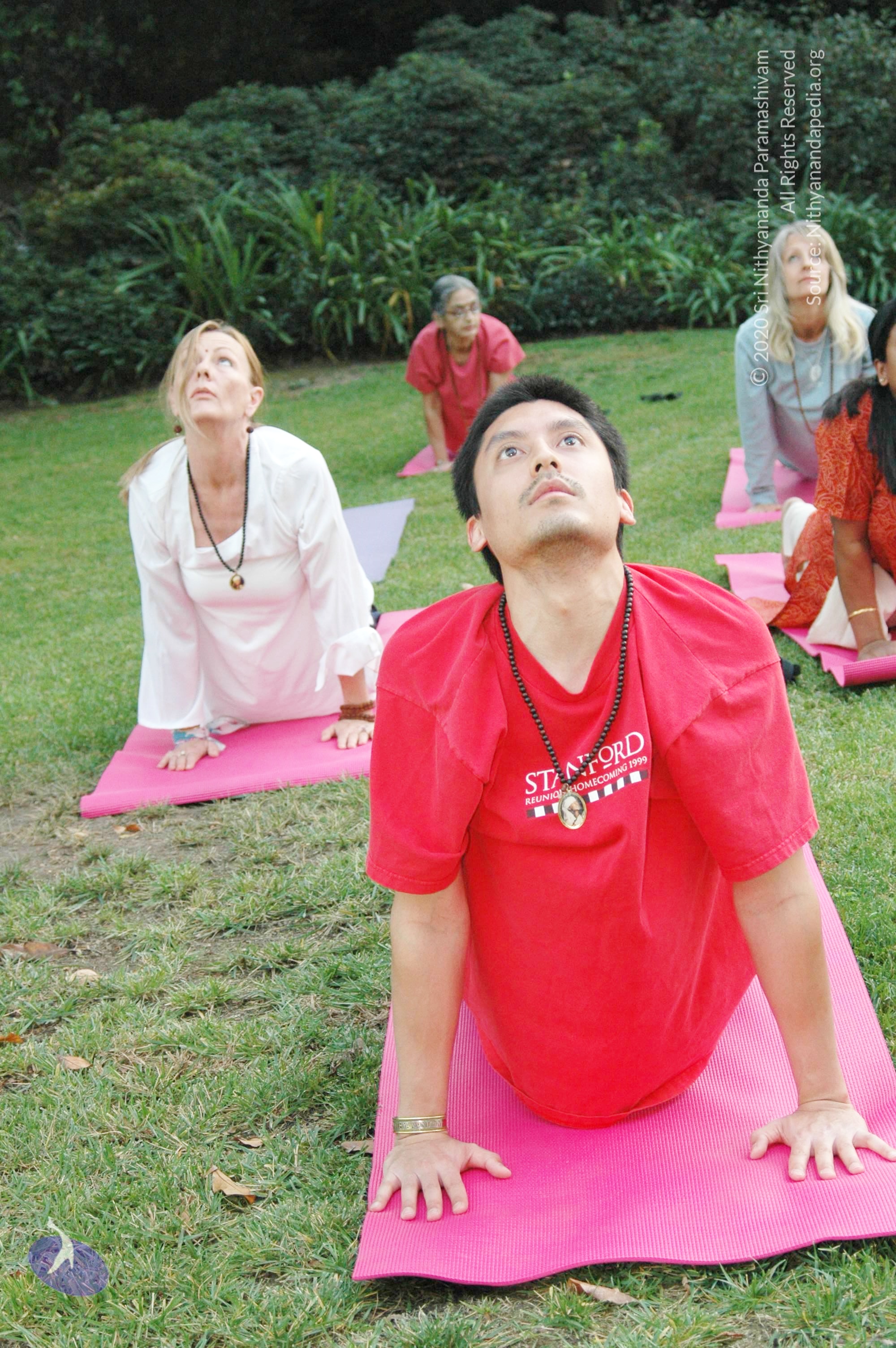 19November2008_NYT_Los_Angeles_140_CMP_WM