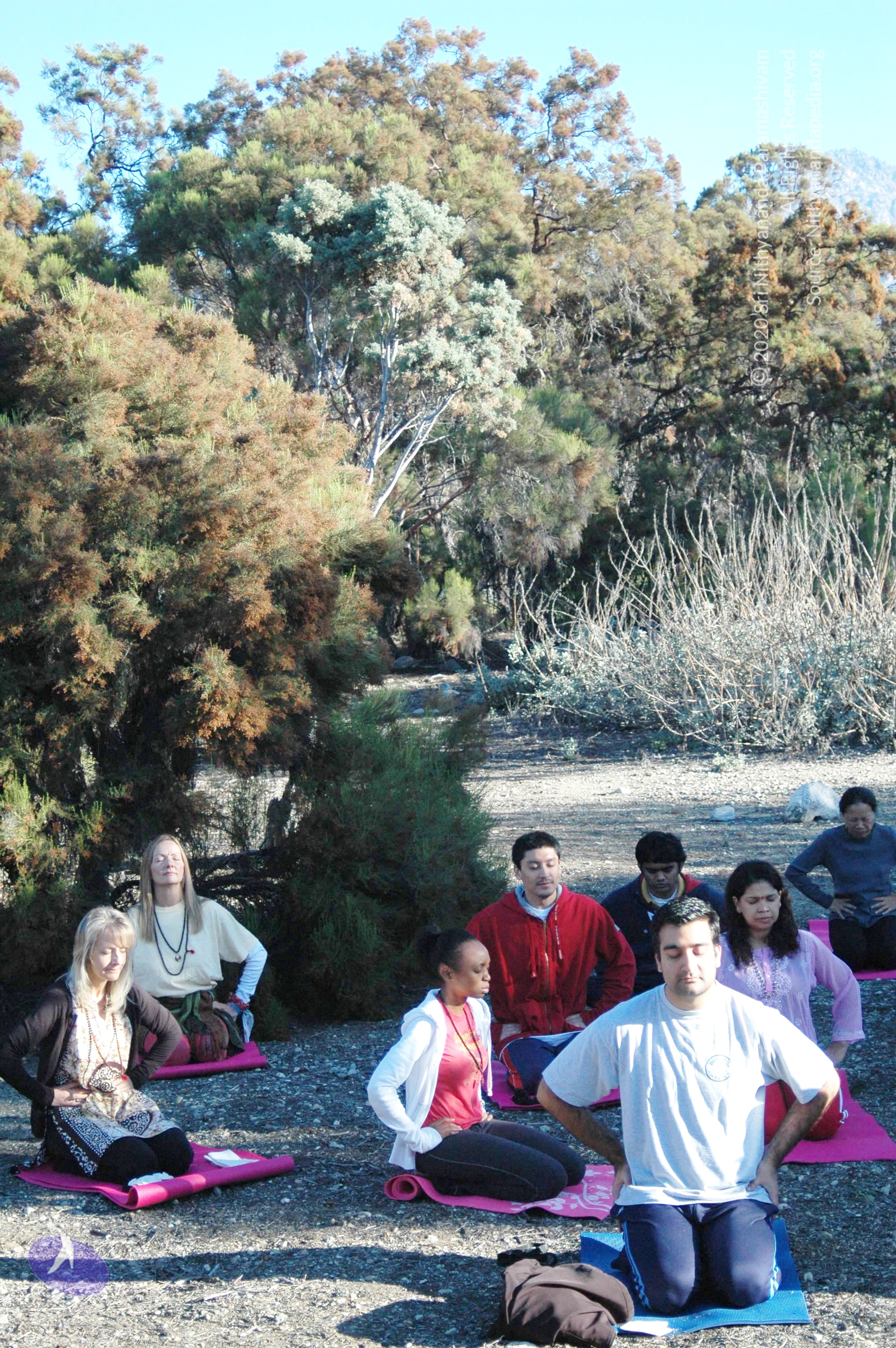 19November2008_NYT_Los_Angeles_20-1_CMP_WM