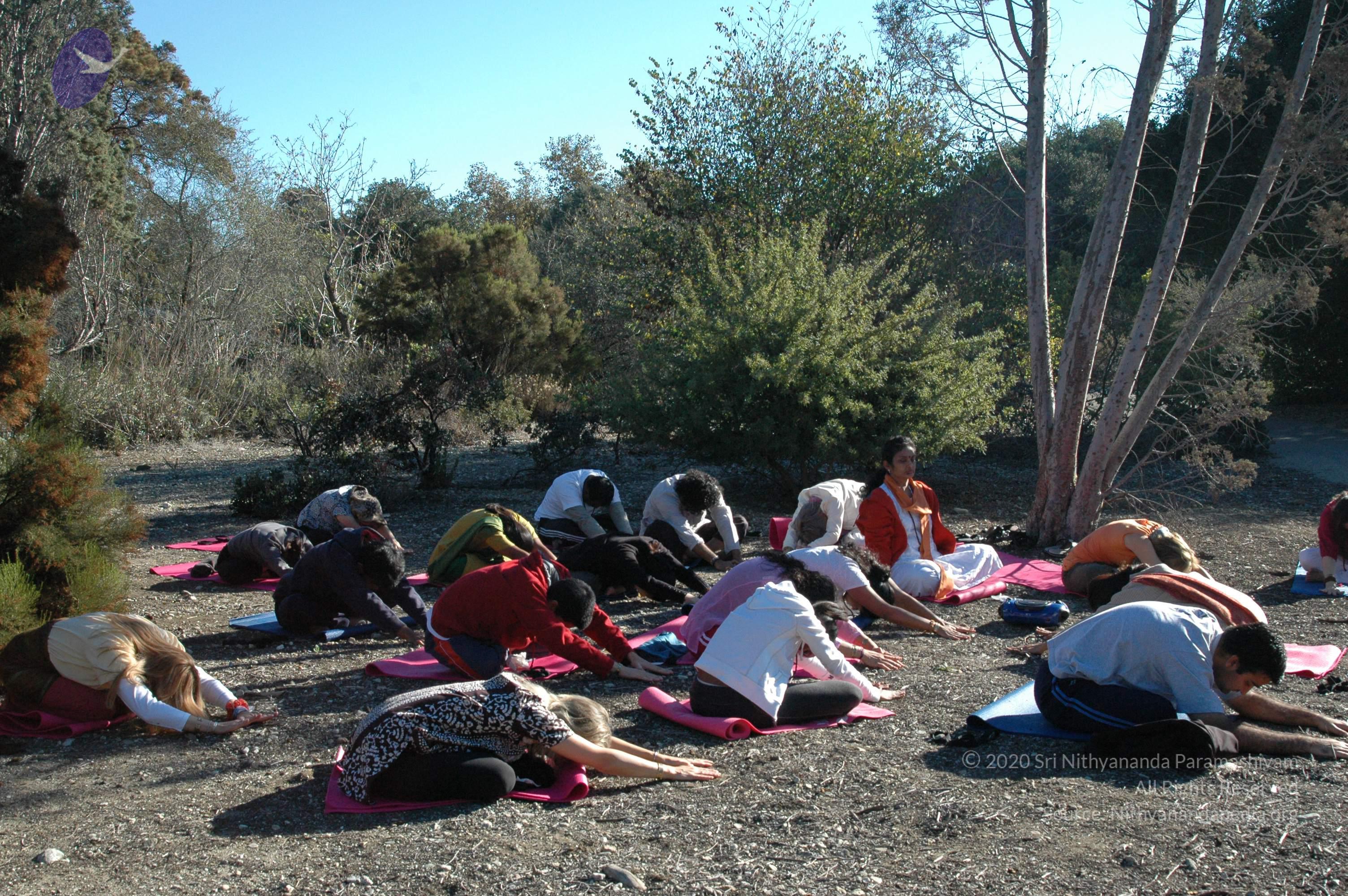 19November2008_NYT_Los_Angeles_24_CMP_WM