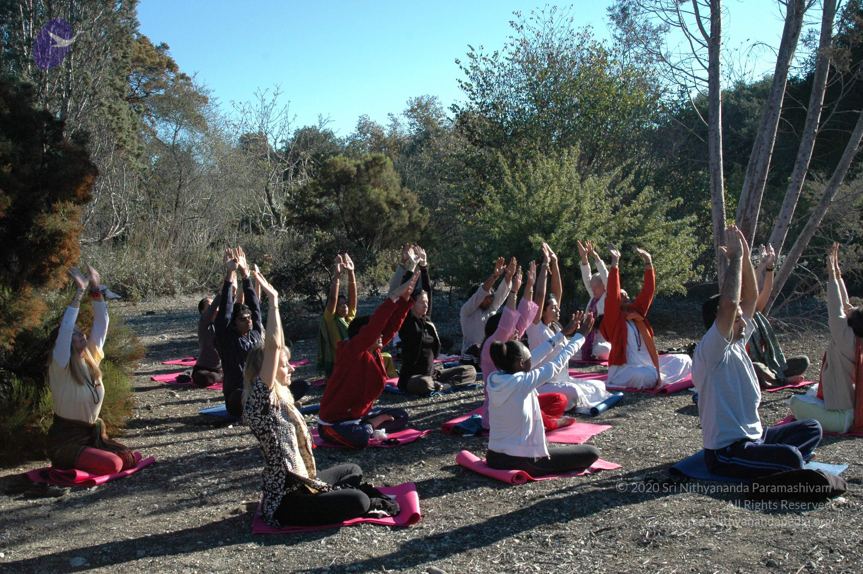 19November2008_NYT_Los_Angeles_25-1_CMP_WM