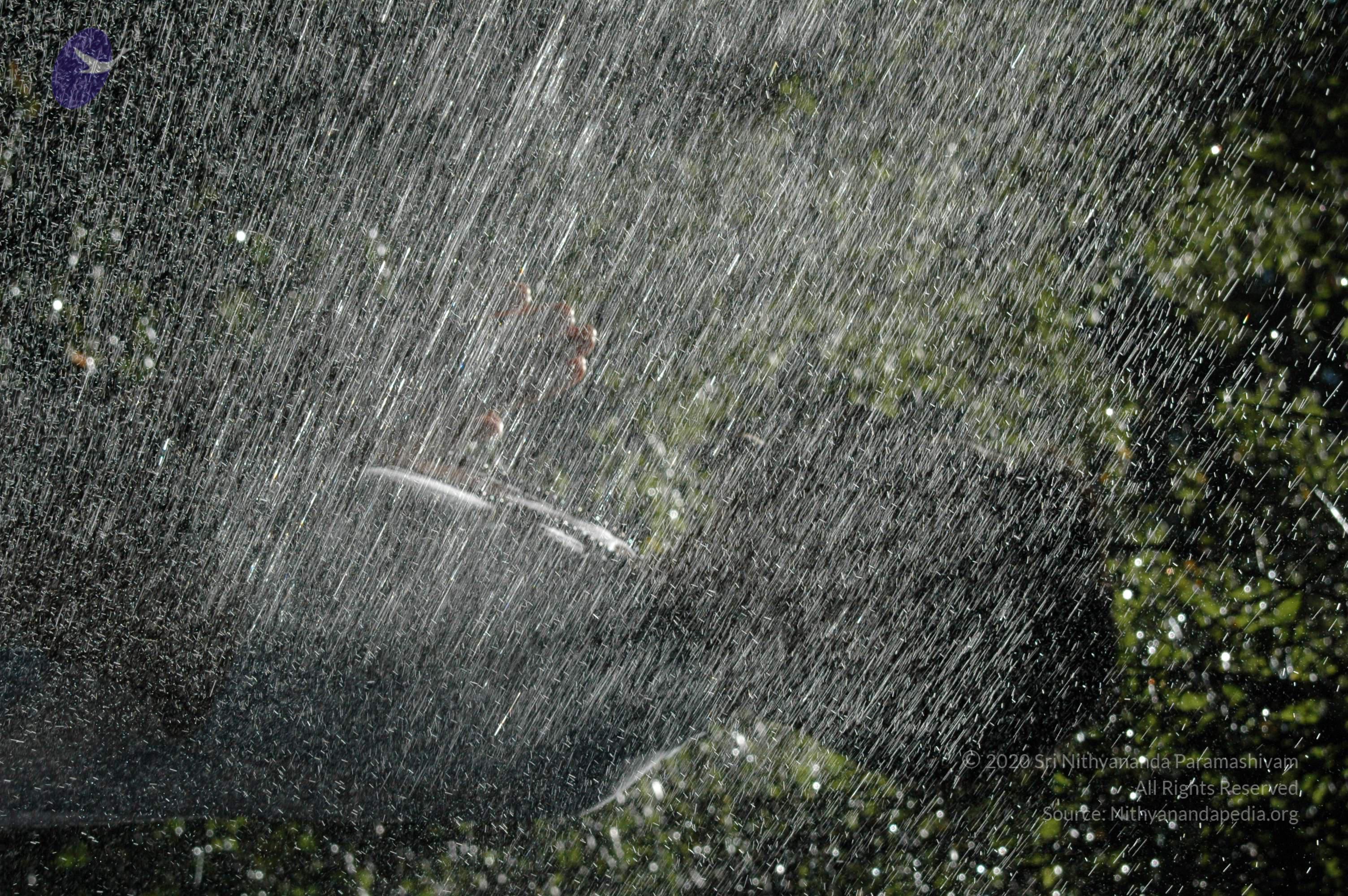 19November2008_NYT_Los_Angeles_73-1_CMP_WM