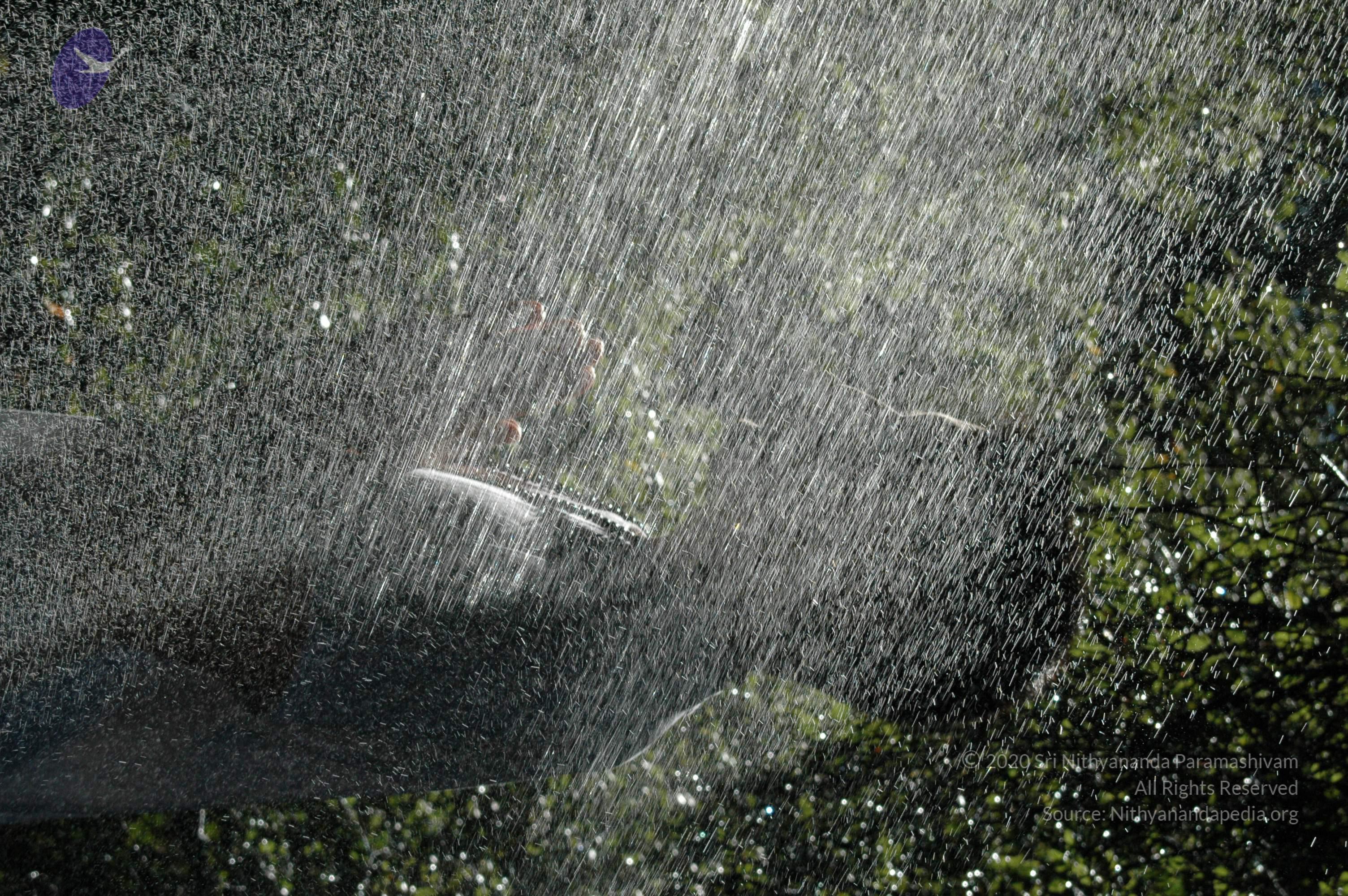 19November2008_NYT_Los_Angeles_74-1_CMP_WM