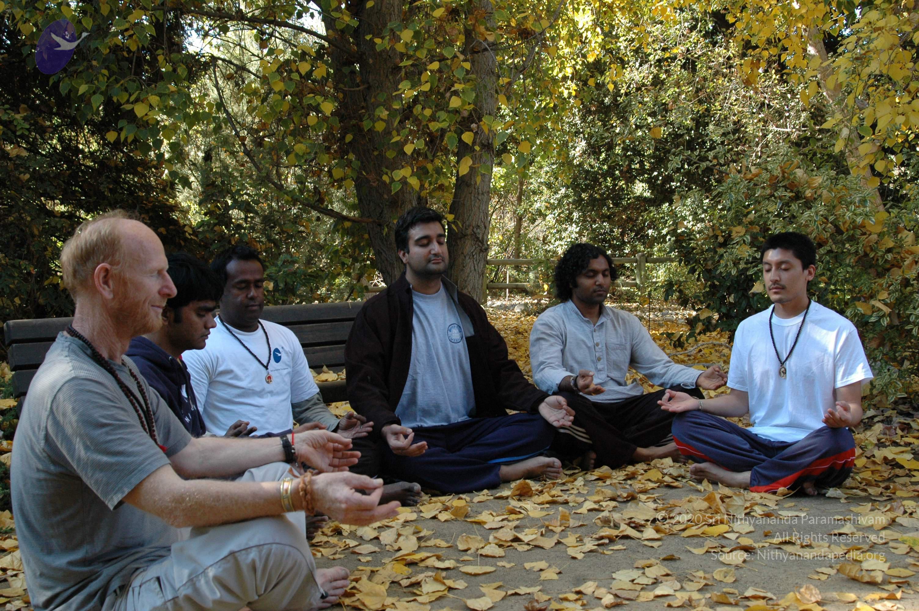 19November2008_NYT_Los_Angeles_80_CMP_WM