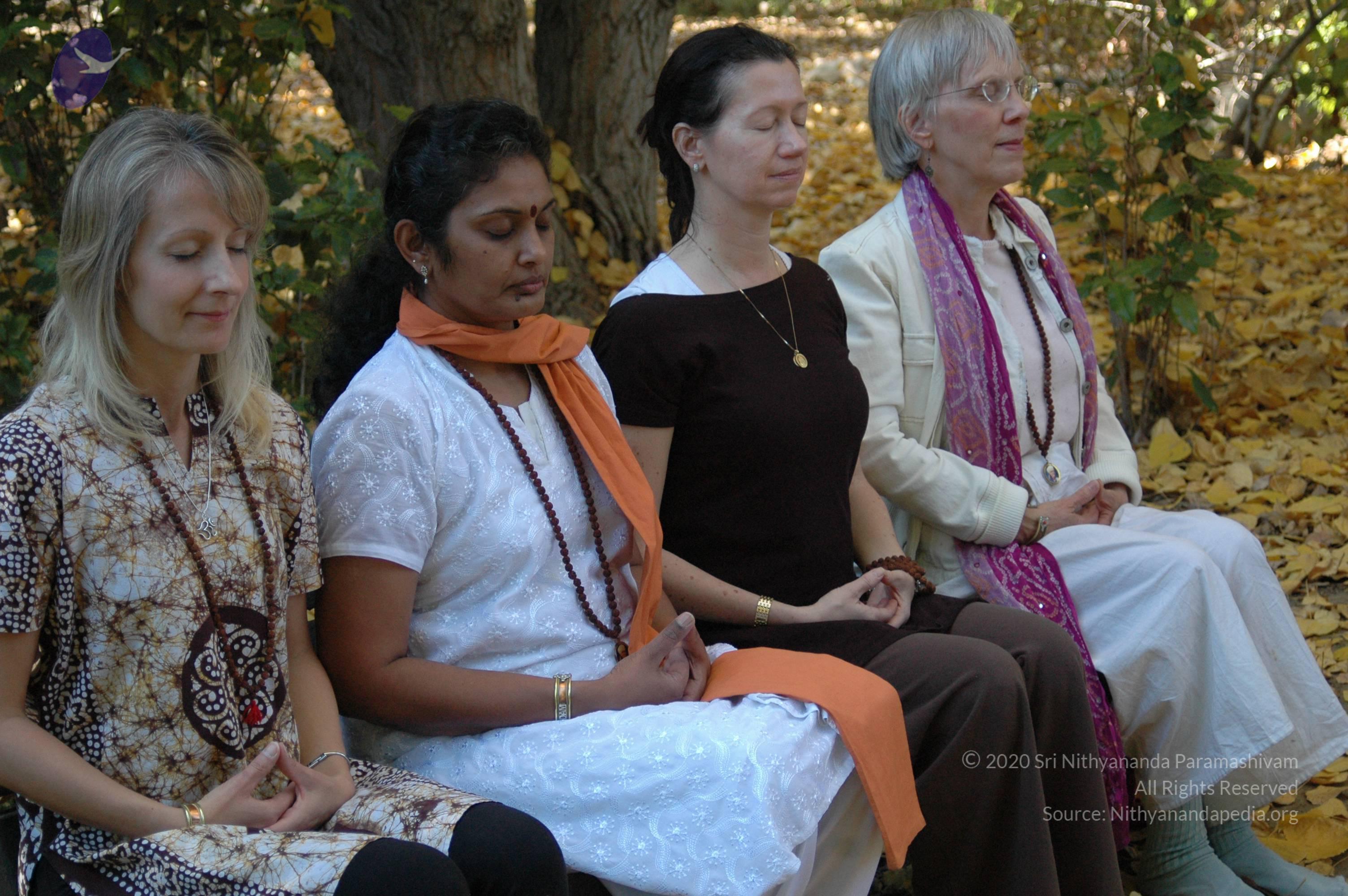 19November2008_NYT_Los_Angeles_83_CMP_WM