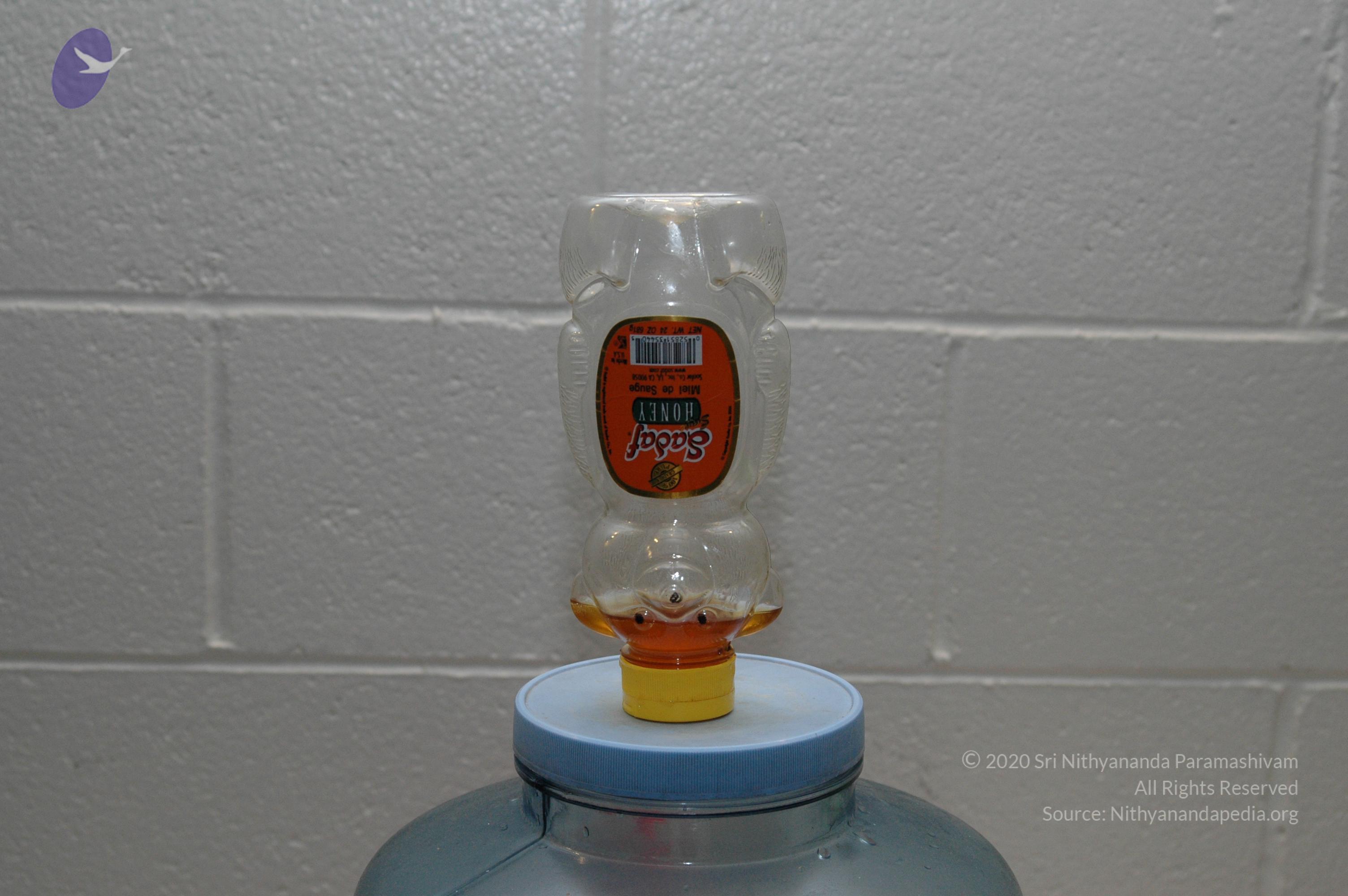 19November2008_NYT_Los_Angeles_99-1_CMP_WM