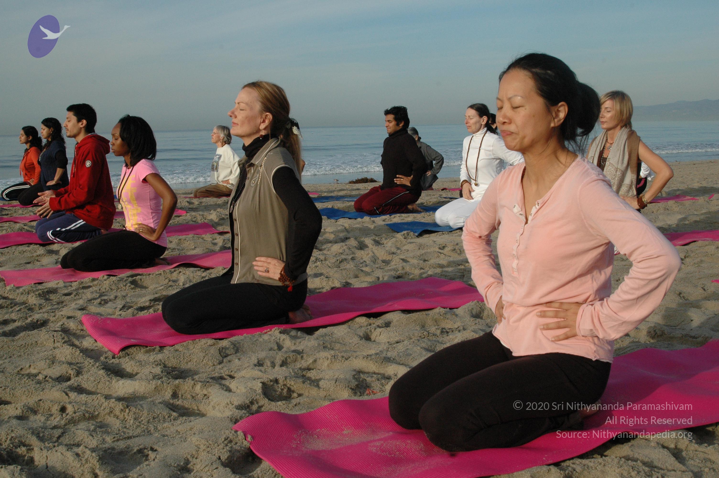 21November2008_NYT_Los_Angeles_Film1_11_CMP_WM