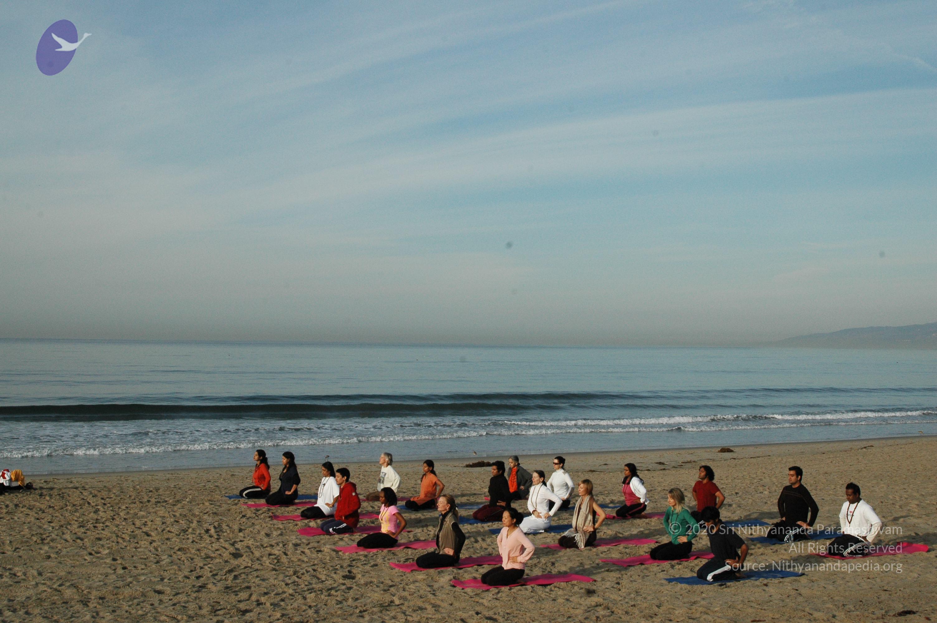 21November2008_NYT_Los_Angeles_Film1_15_CMP_WM