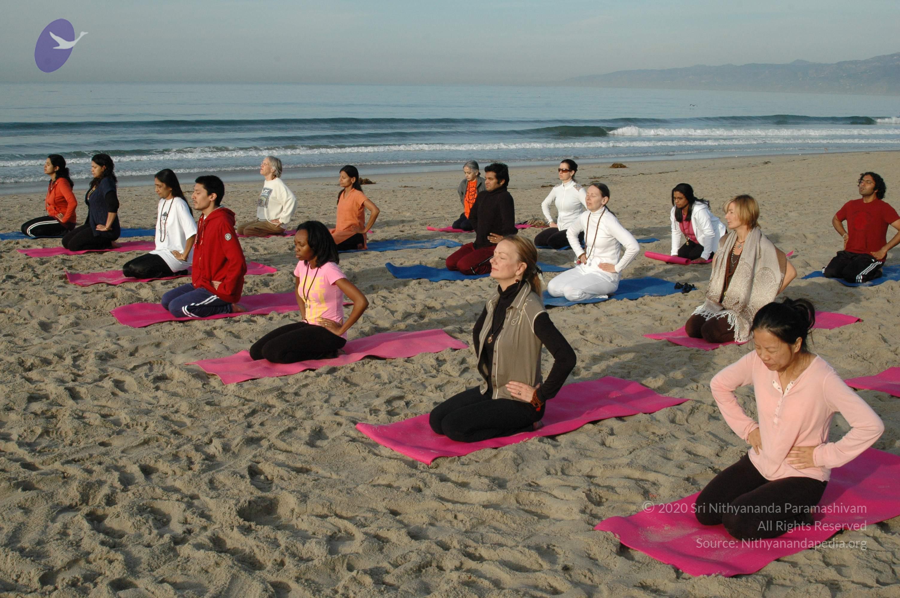 21November2008_NYT_Los_Angeles_Film1_27-1_CMP_WM