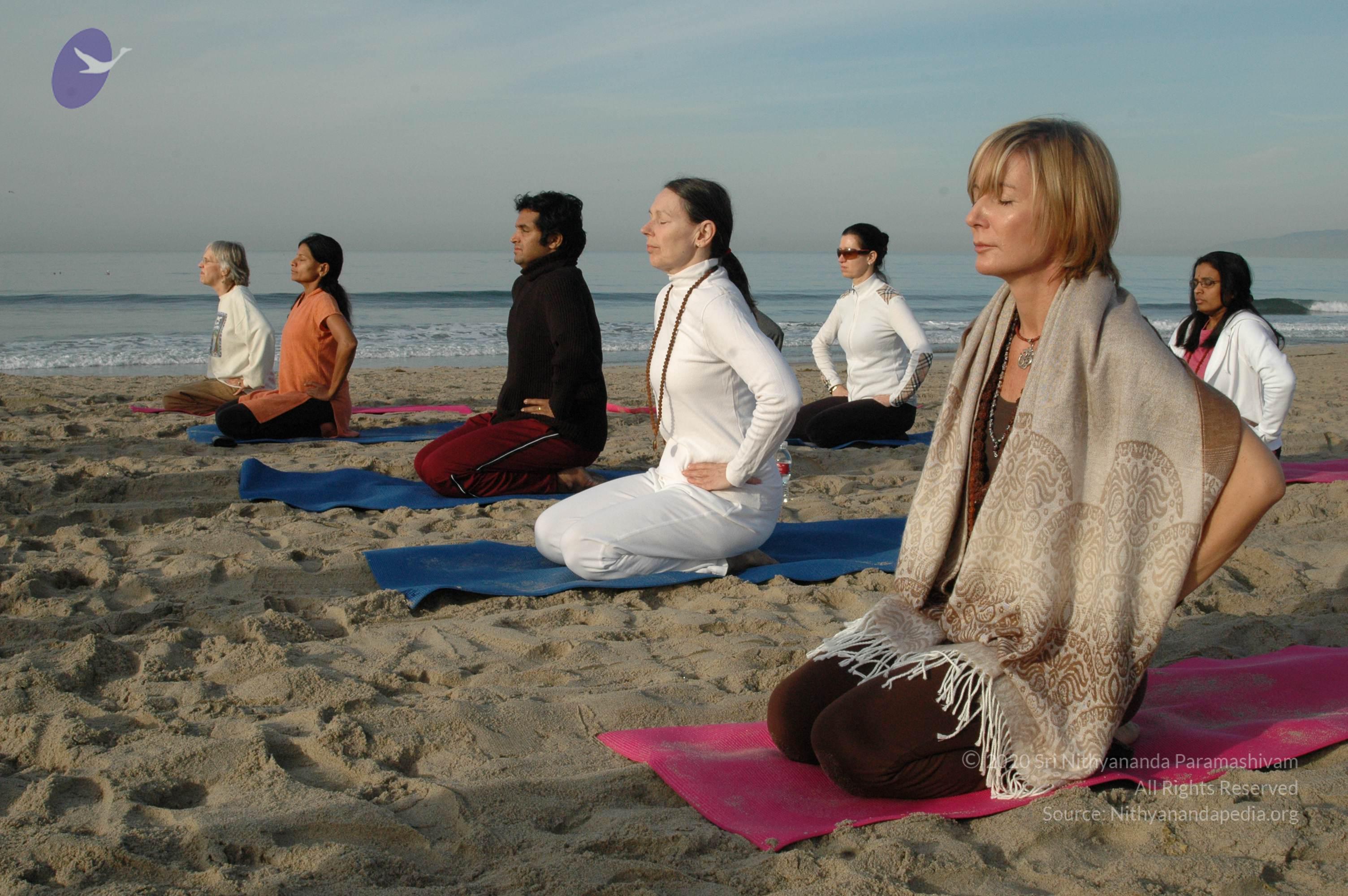 21November2008_NYT_Los_Angeles_Film1_28_CMP_WM