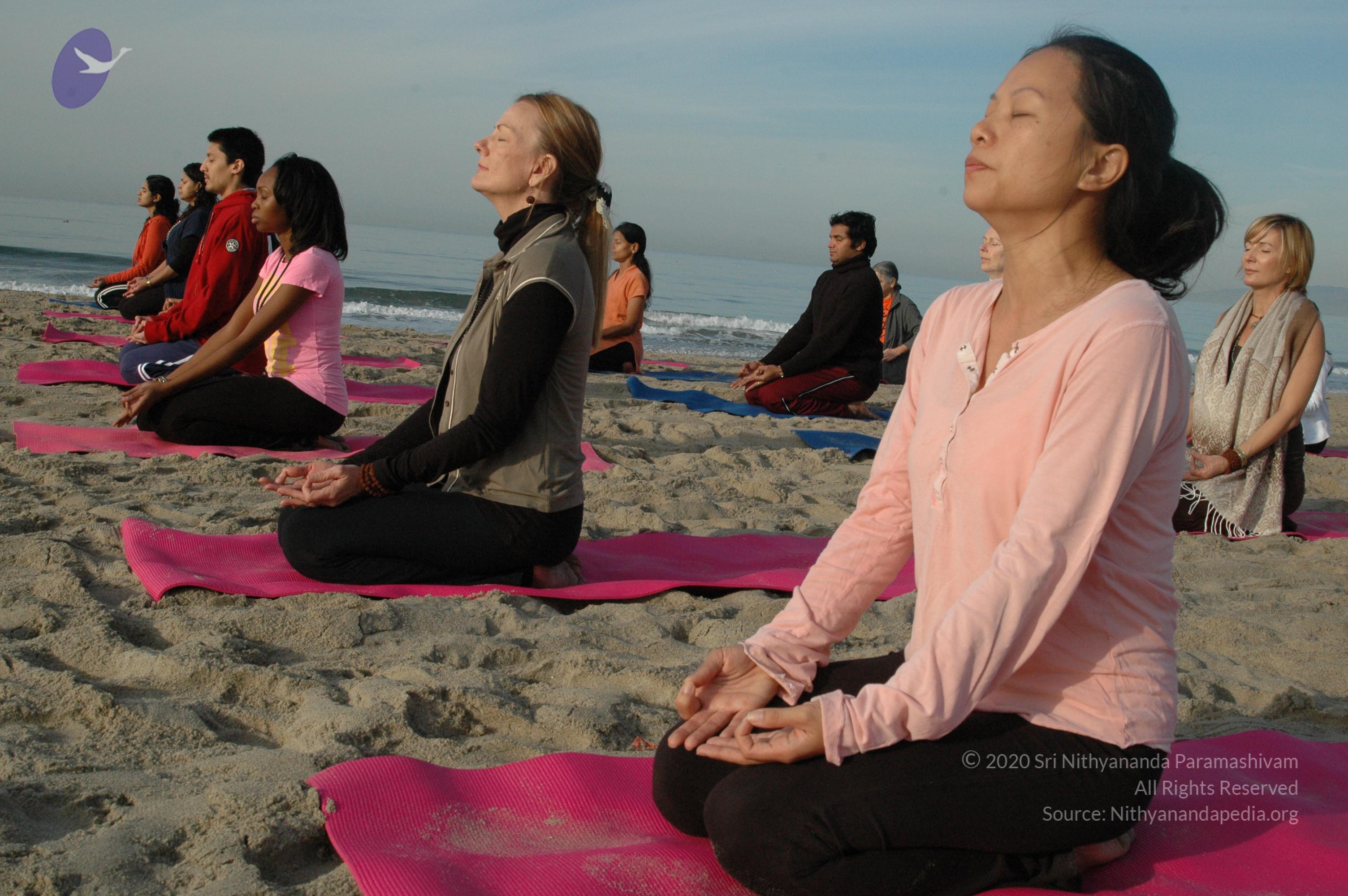 21November2008_NYT_Los_Angeles_Film1_32-1_CMP_WM