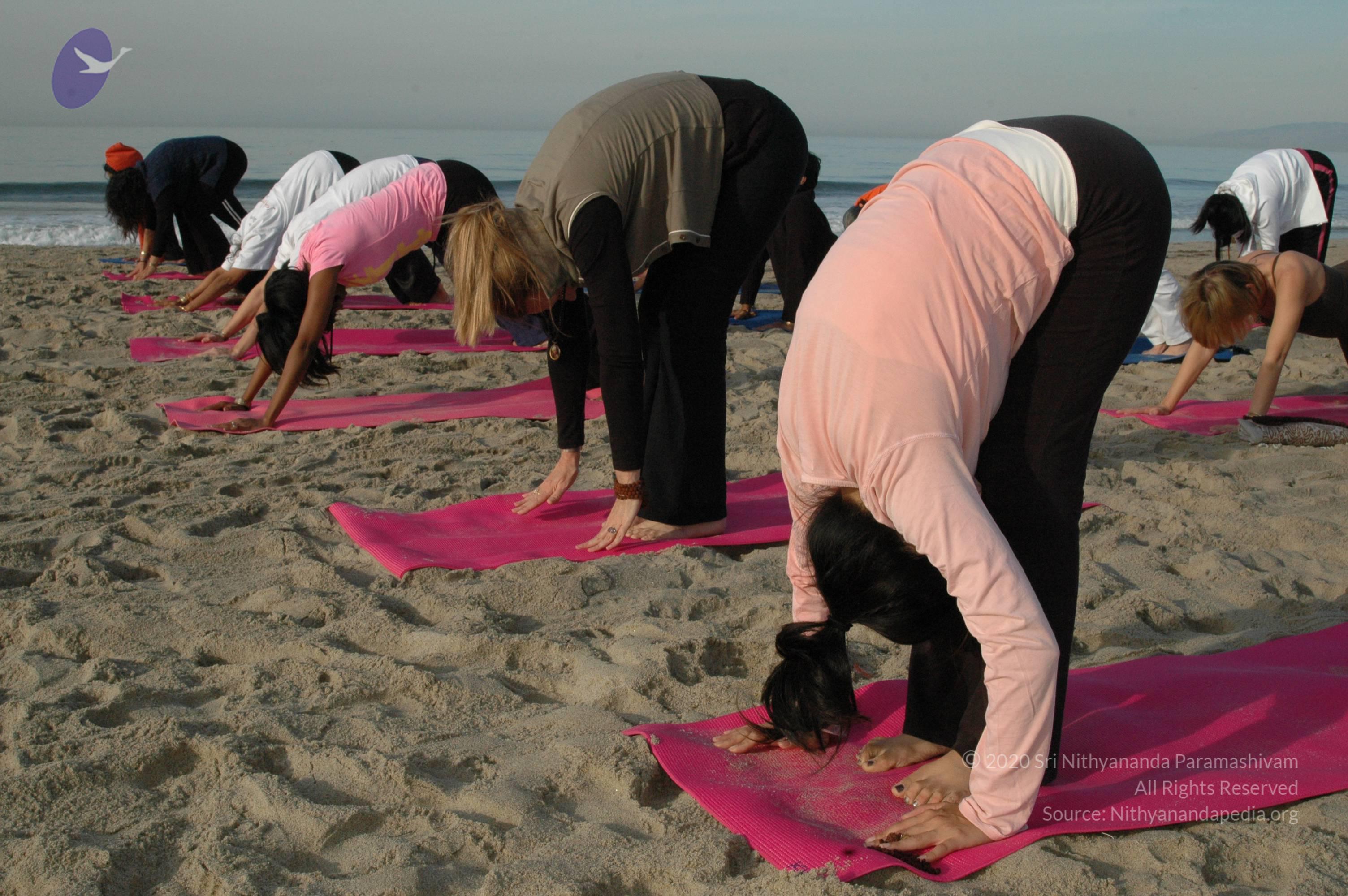 21November2008_NYT_Los_Angeles_Film1_37_CMP_WM