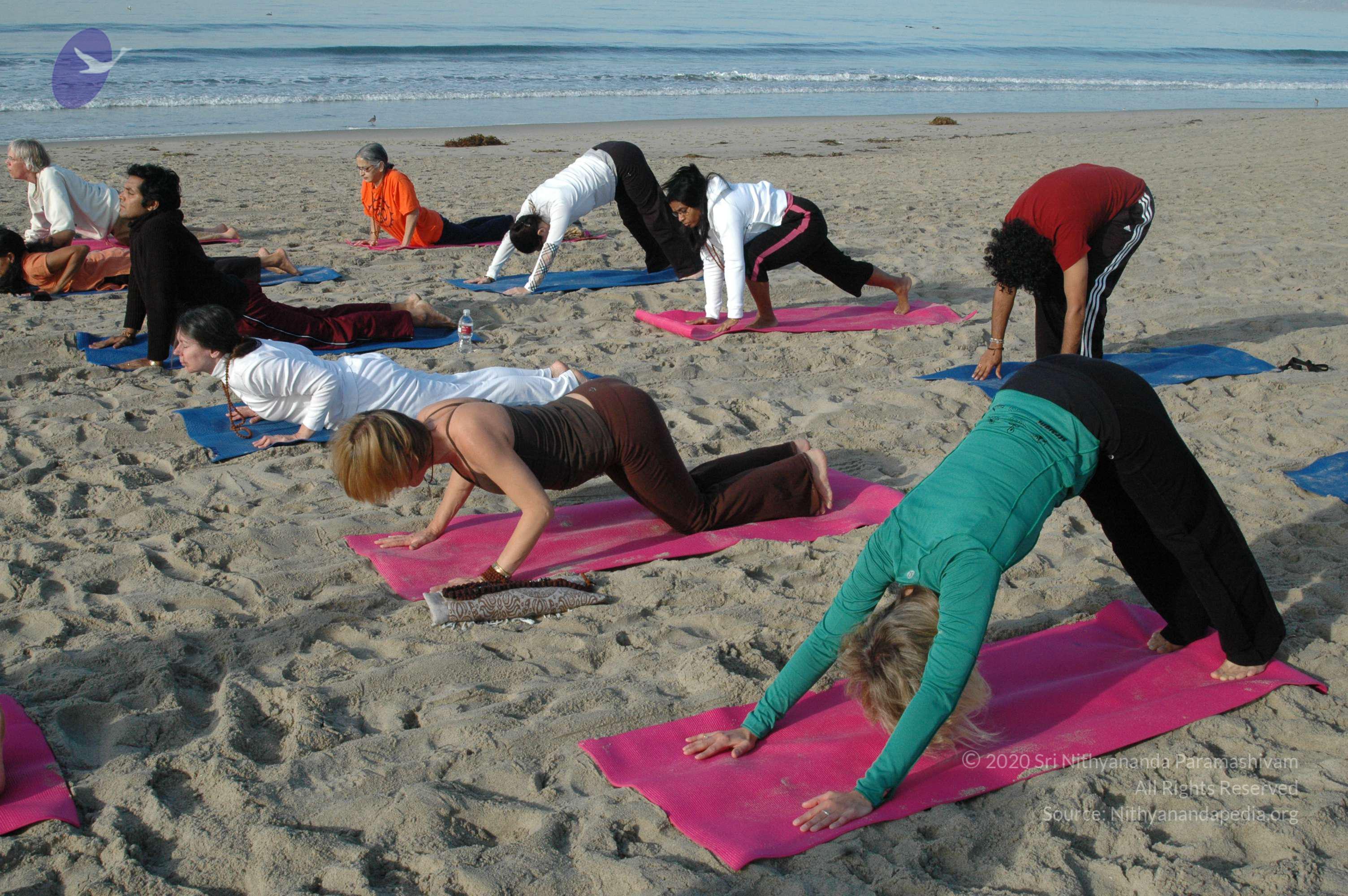 21November2008_NYT_Los_Angeles_Film1_41-1_CMP_WM