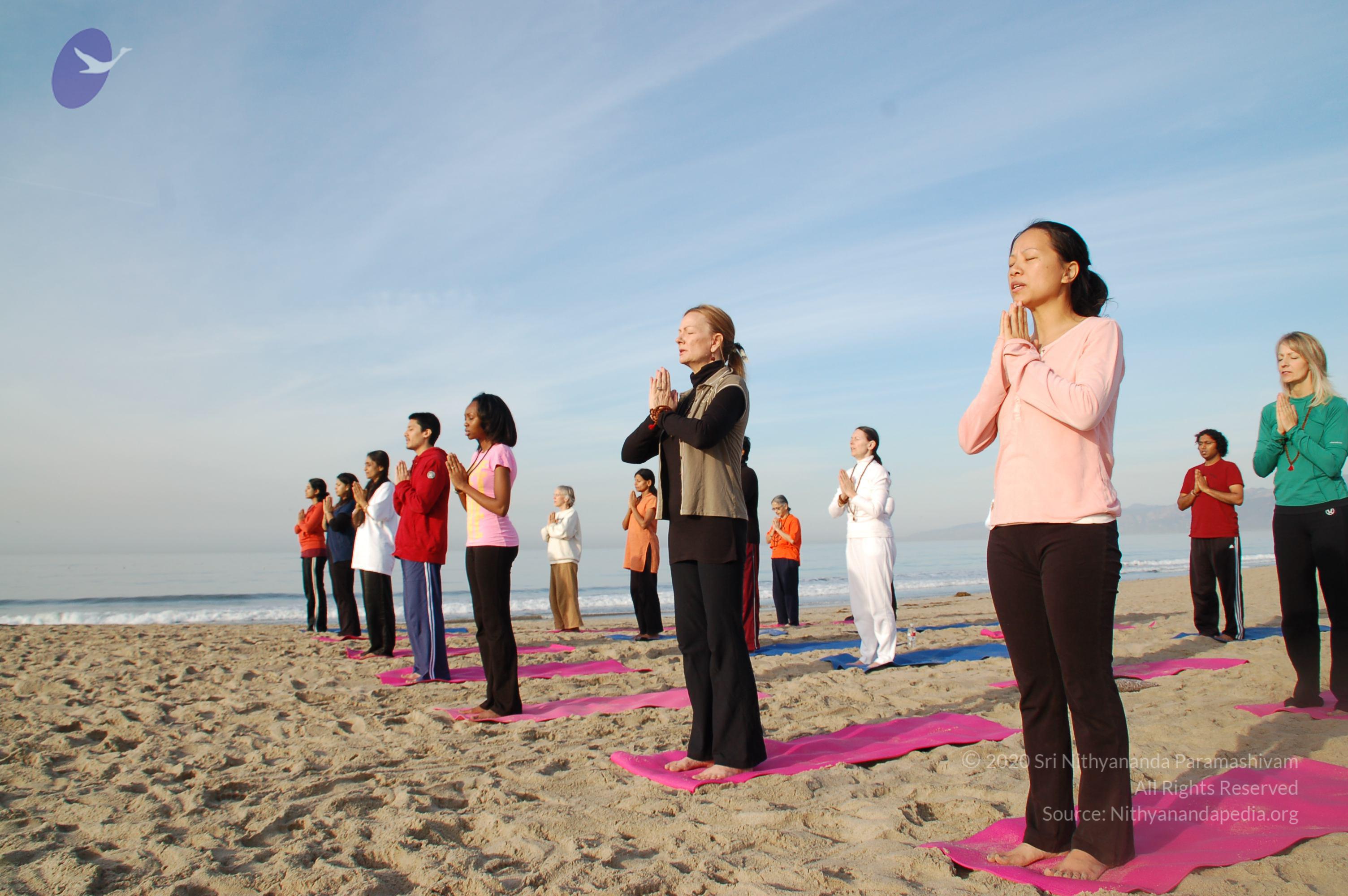 21November2008_NYT_Los_Angeles_Film2_01_CMP_WM