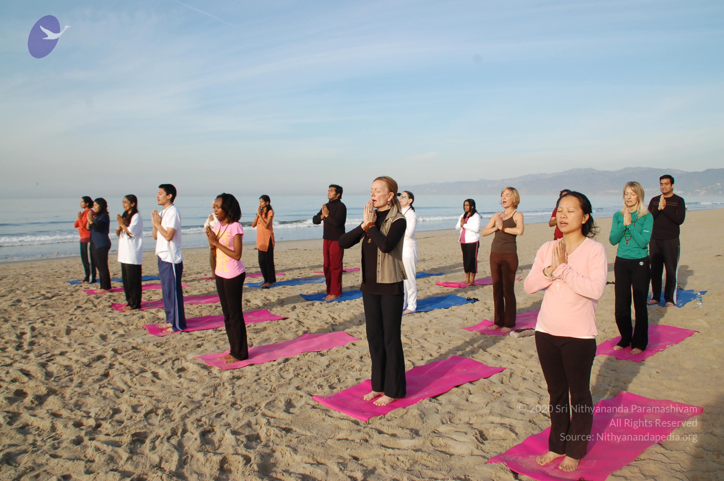 21November2008_NYT_Los_Angeles_Film2_03_CMP_WM