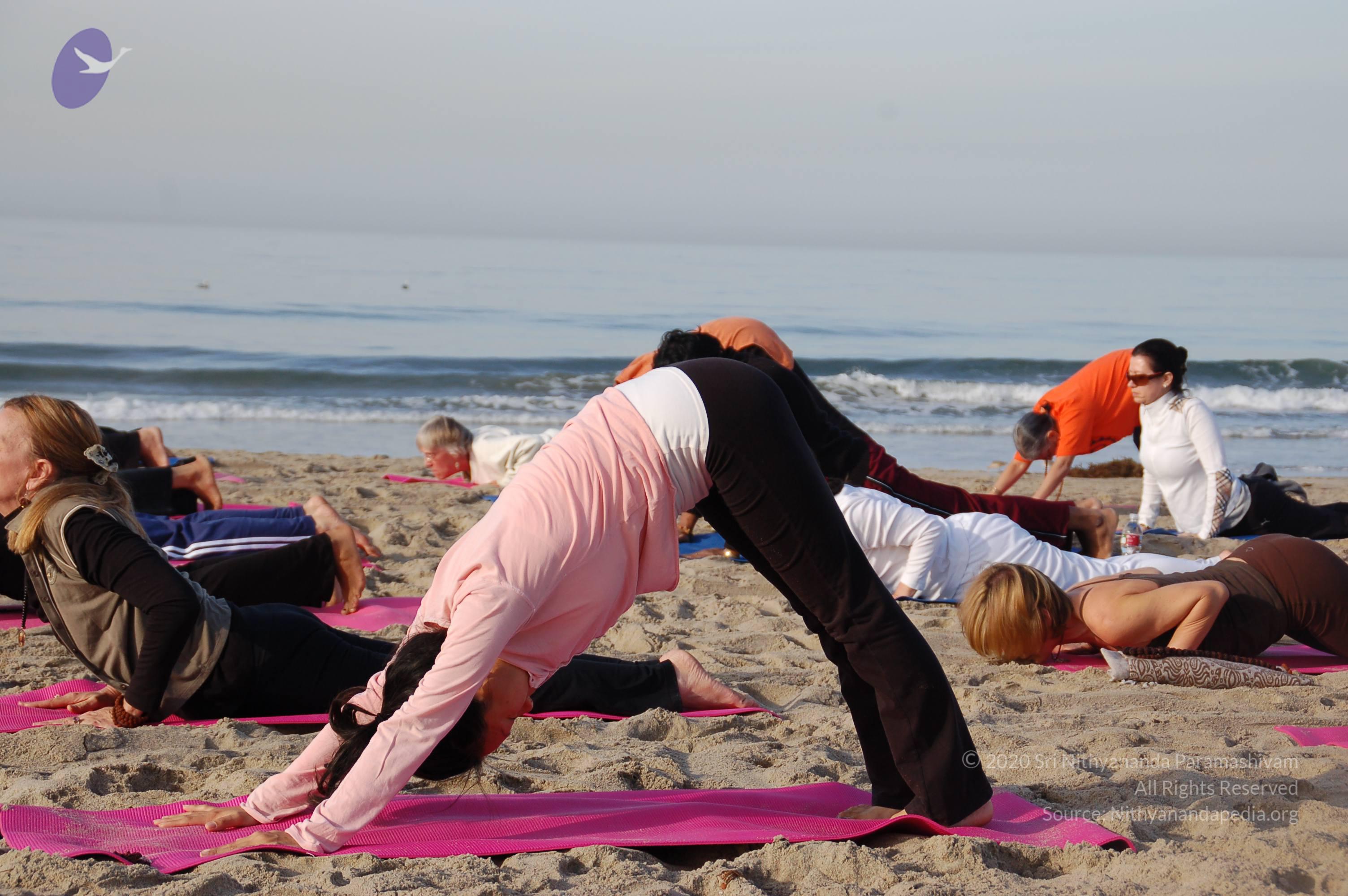 21November2008_NYT_Los_Angeles_Film2_07_CMP_WM