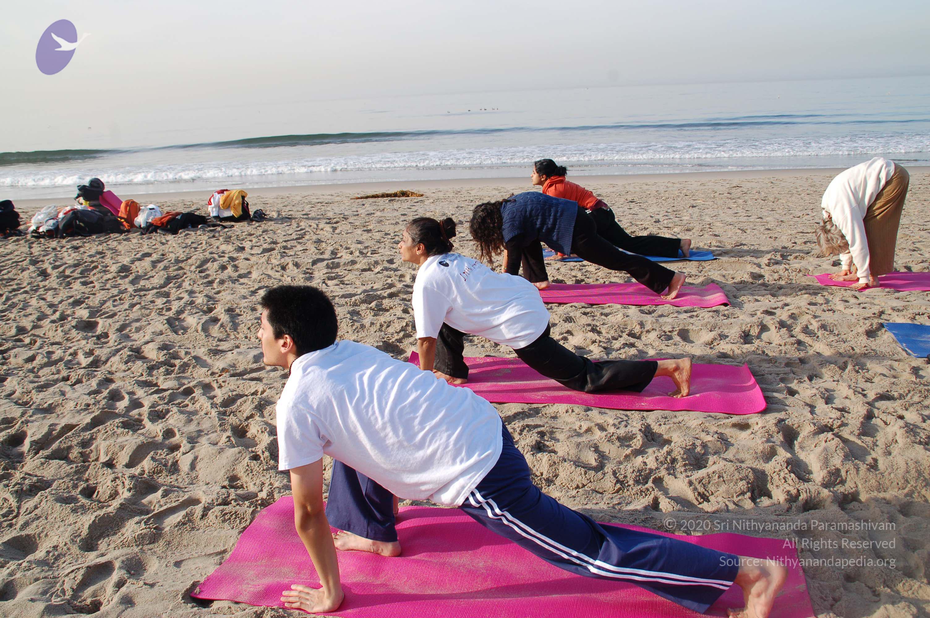 21November2008_NYT_Los_Angeles_Film2_09_CMP_WM