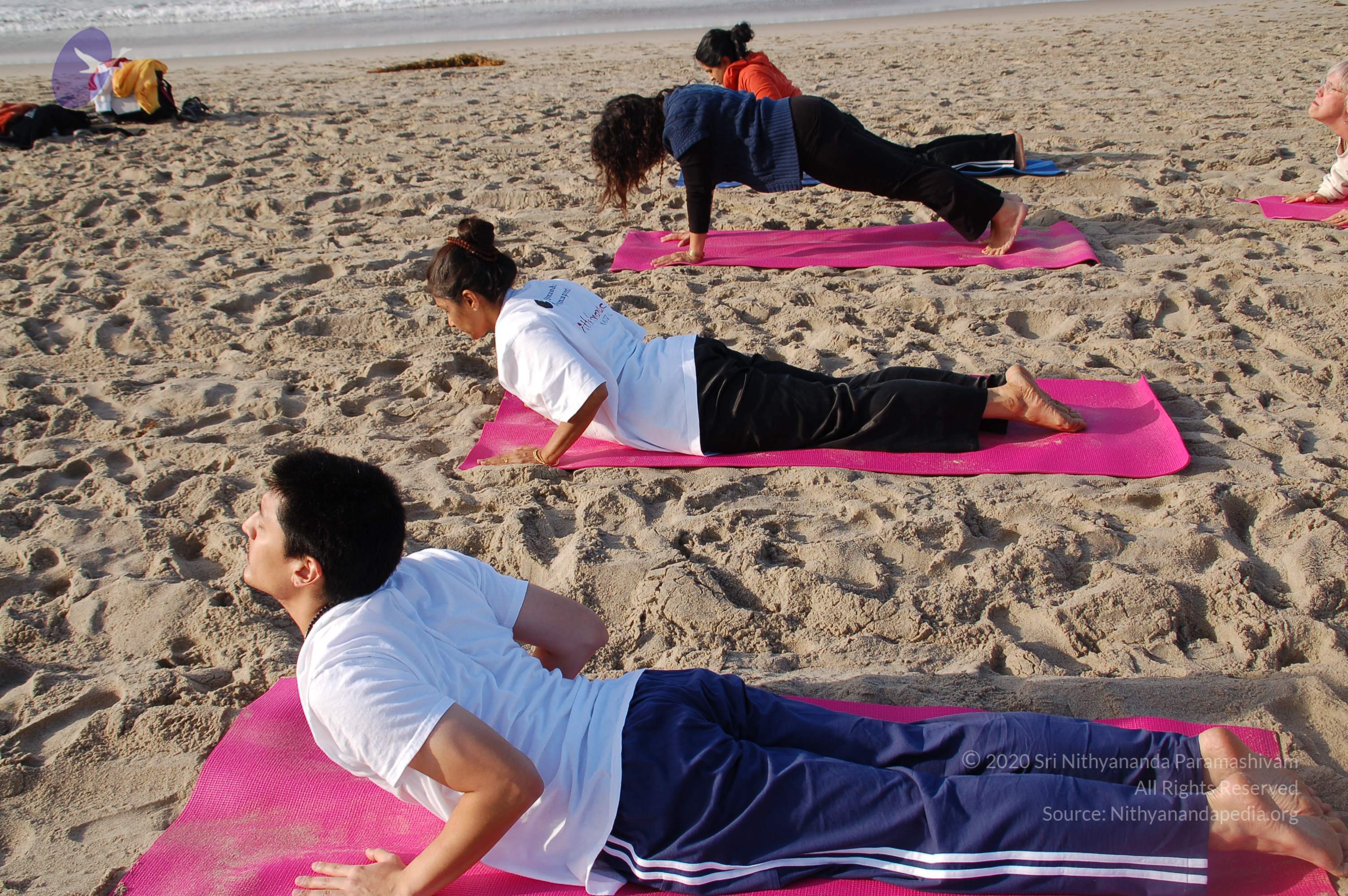 21November2008_NYT_Los_Angeles_Film2_10_CMP_WM