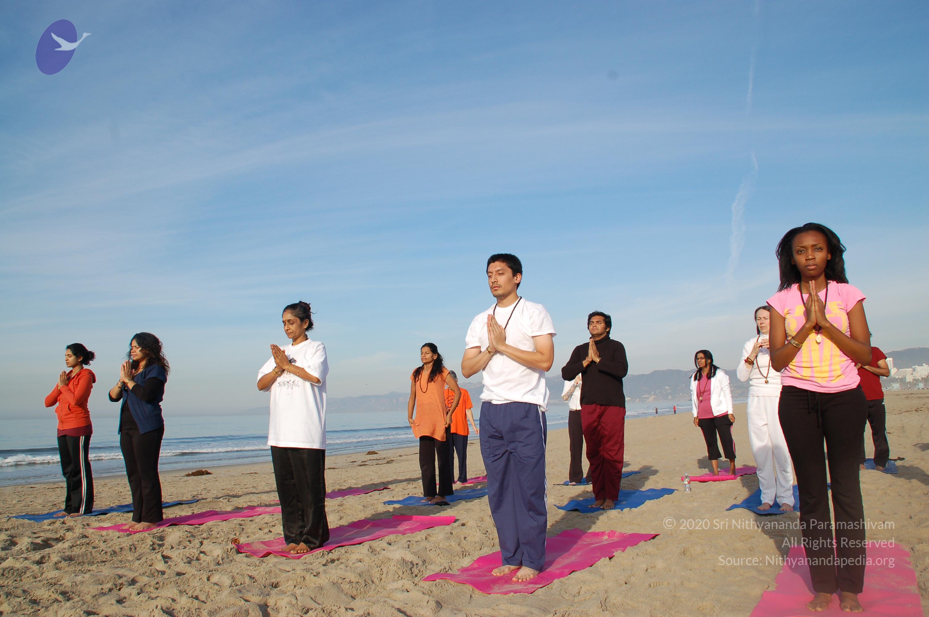 21November2008_NYT_Los_Angeles_Film2_12_CMP_WM