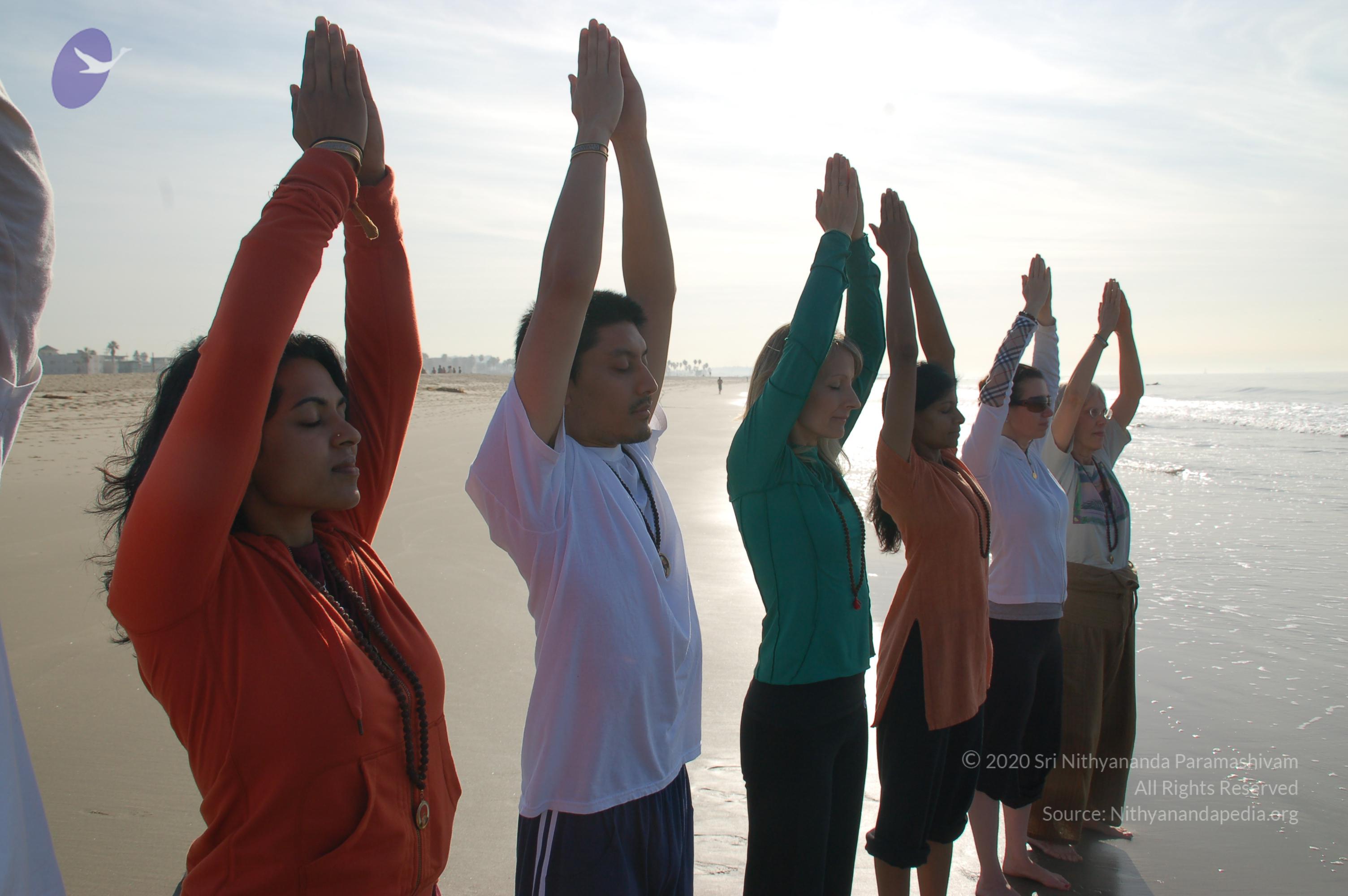 21November2008_NYT_Los_Angeles_Film2_159_CMP_WM