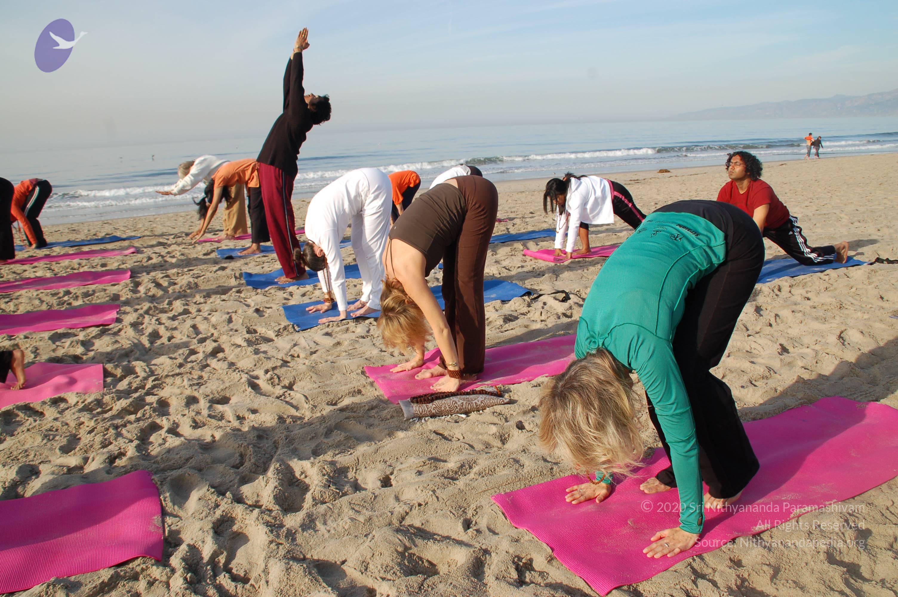 21November2008_NYT_Los_Angeles_Film2_15_CMP_WM