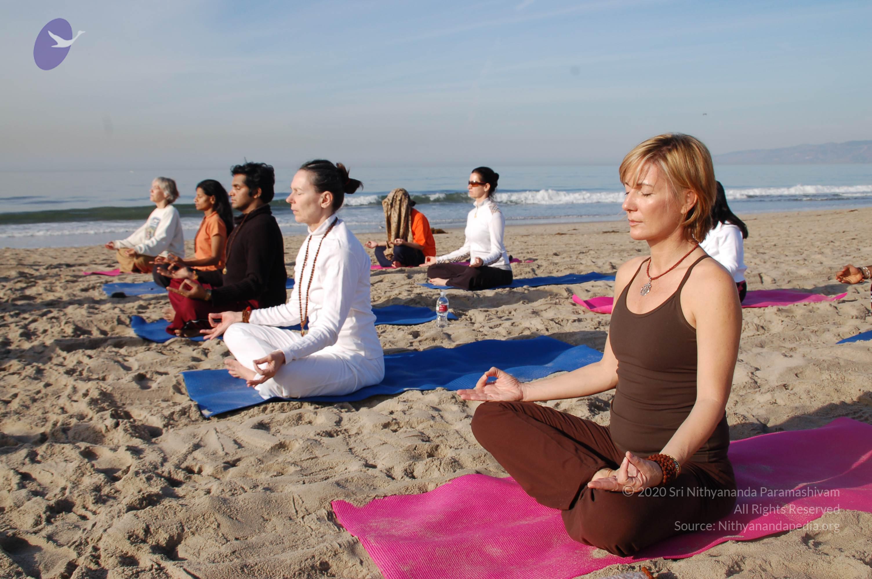 21November2008_NYT_Los_Angeles_Film2_17_CMP_WM