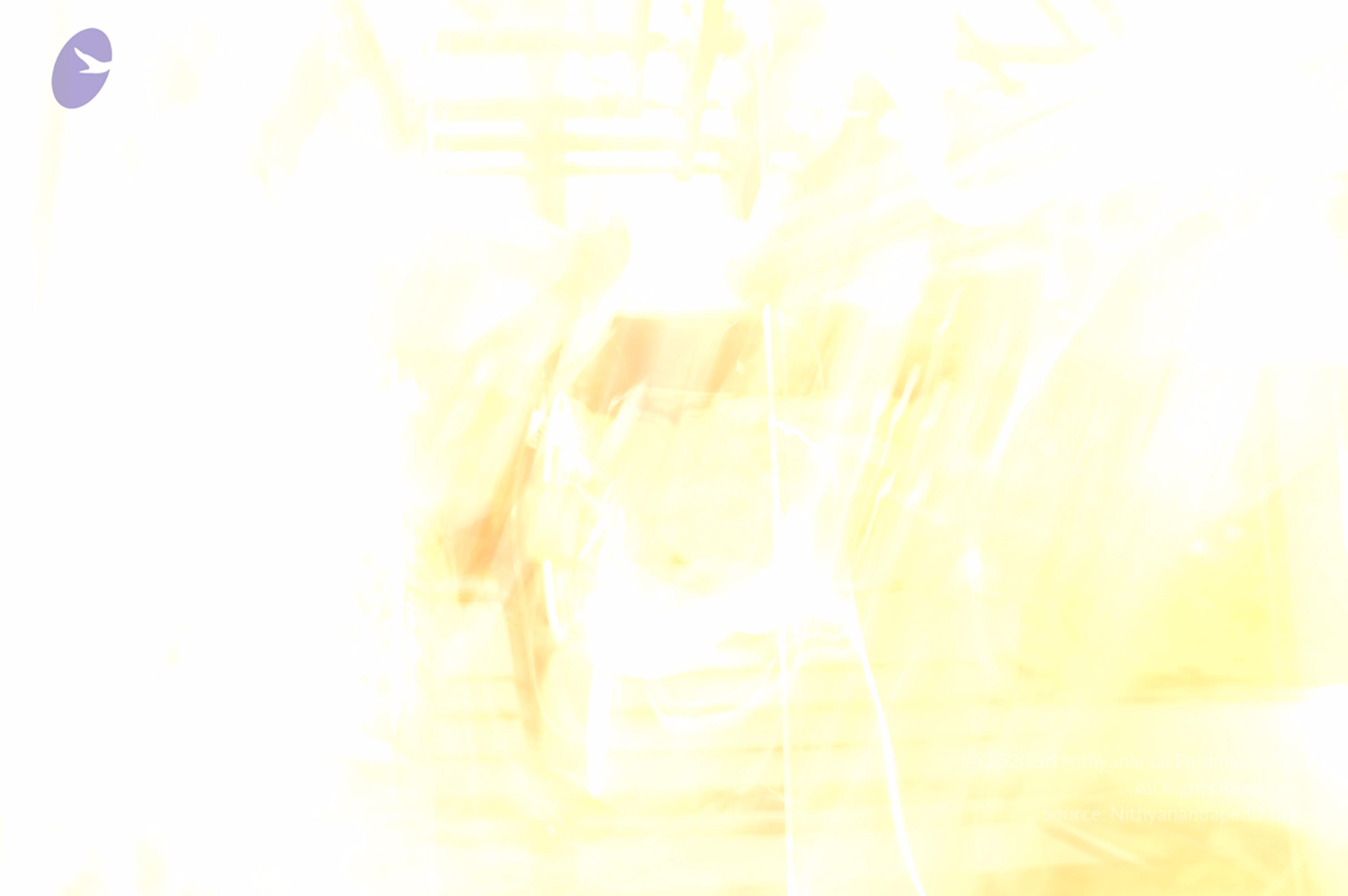 21November2008_NYT_Los_Angeles_Film2_181_CMP_WM