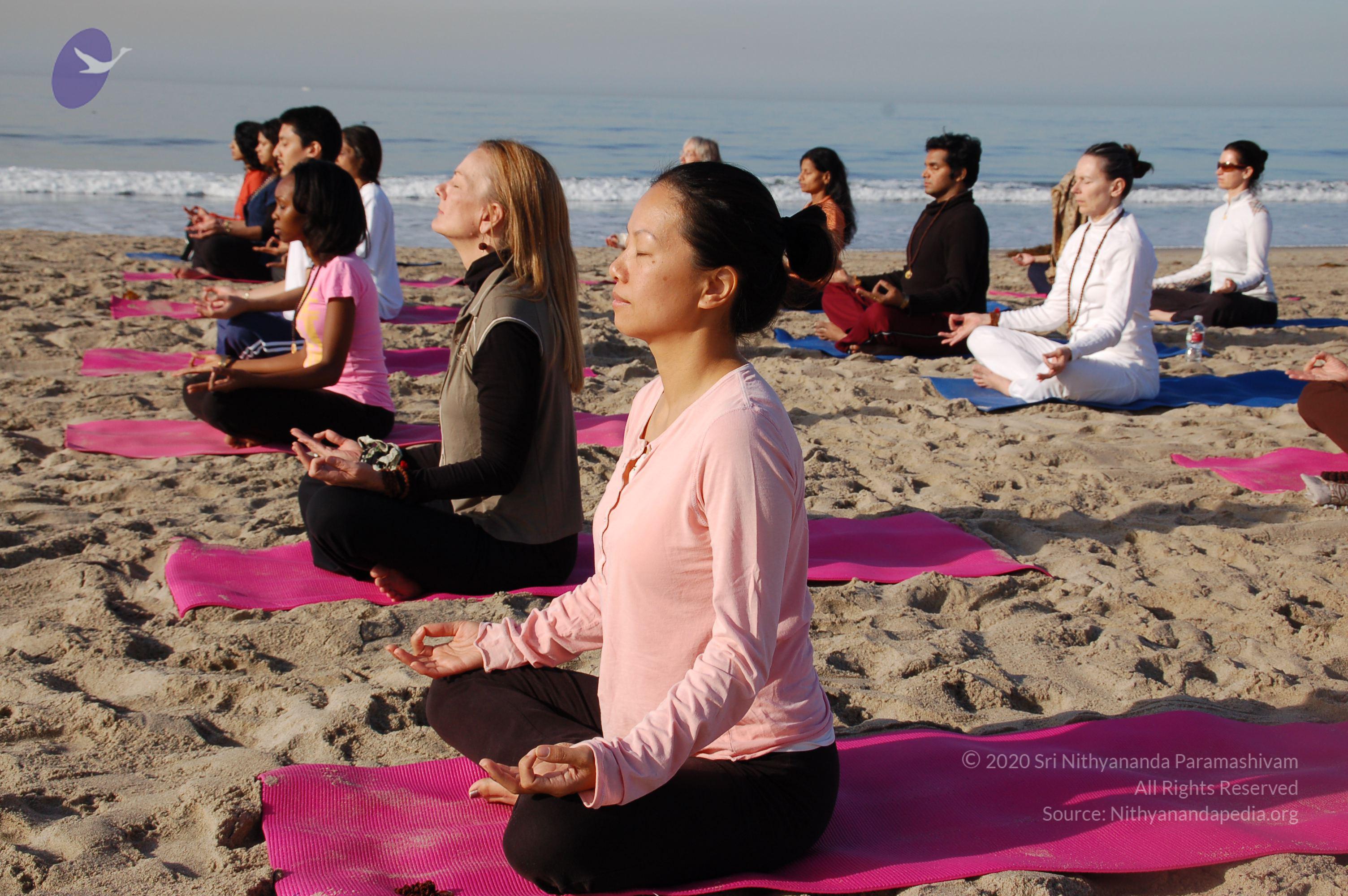 21November2008_NYT_Los_Angeles_Film2_18_CMP_WM